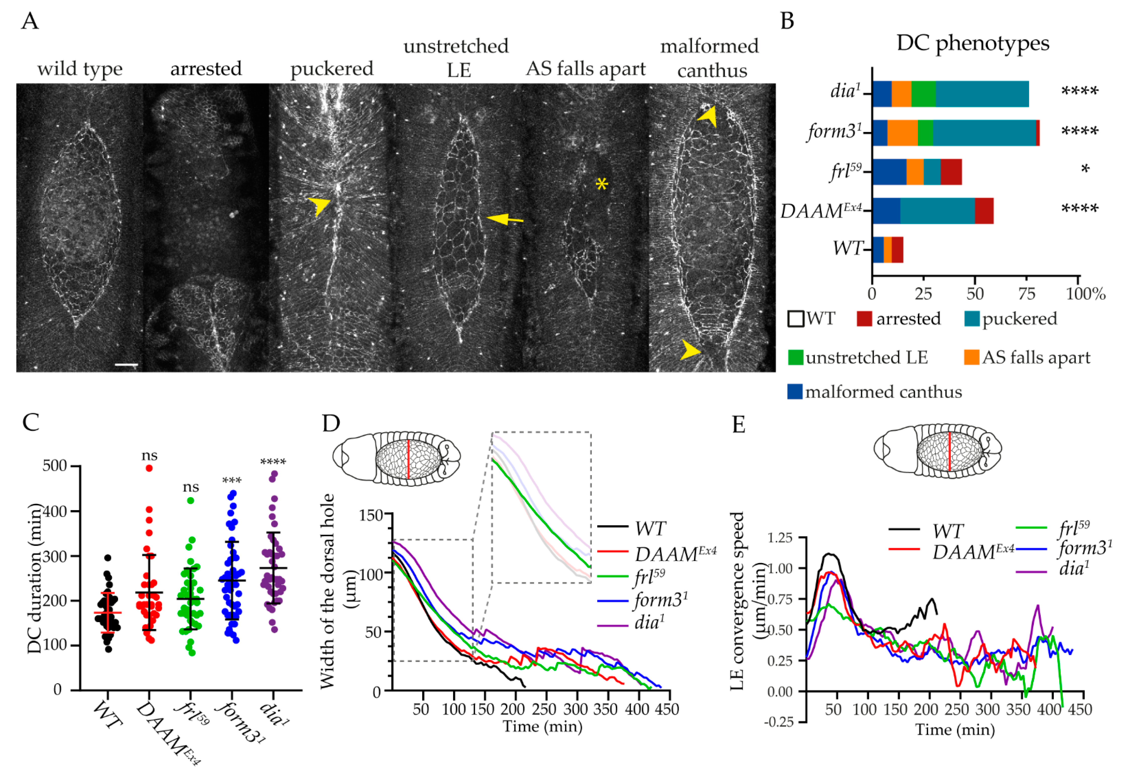 Cells 11 01539 g004 Cells 11 01539 g004