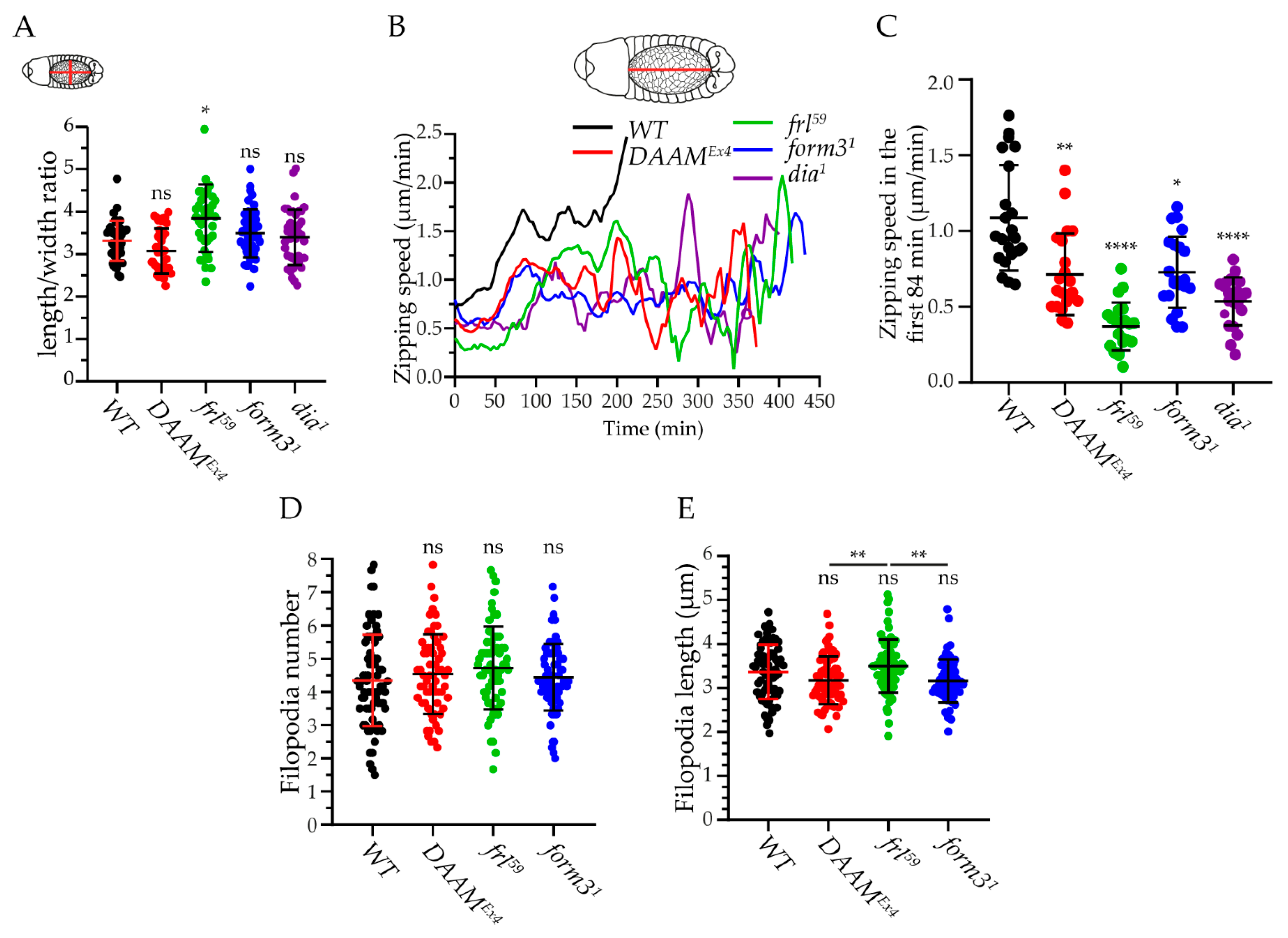Cells 11 01539 g005 Cells 11 01539 g005