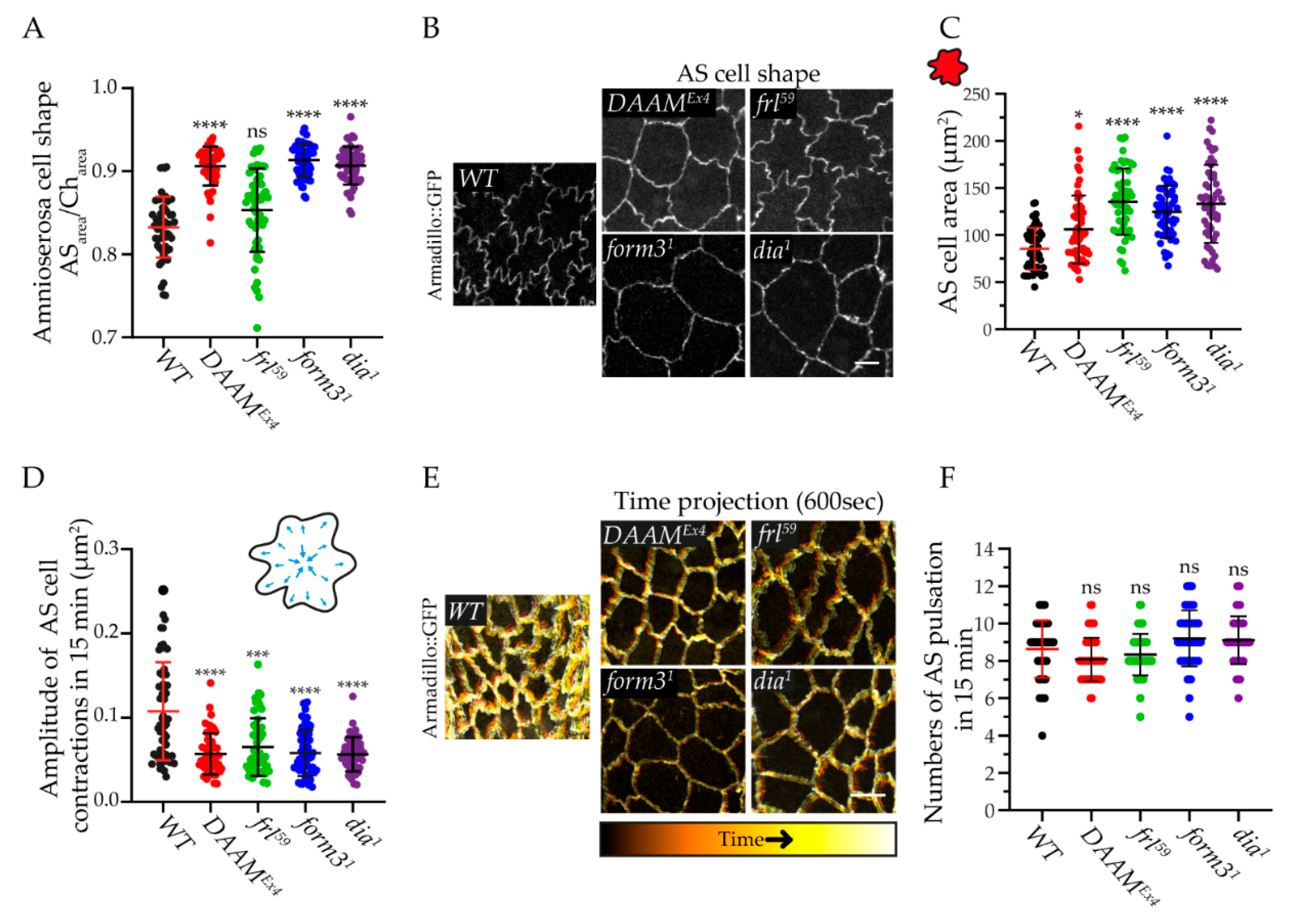 Cells 11 01539 g006 Cells 11 01539 g006