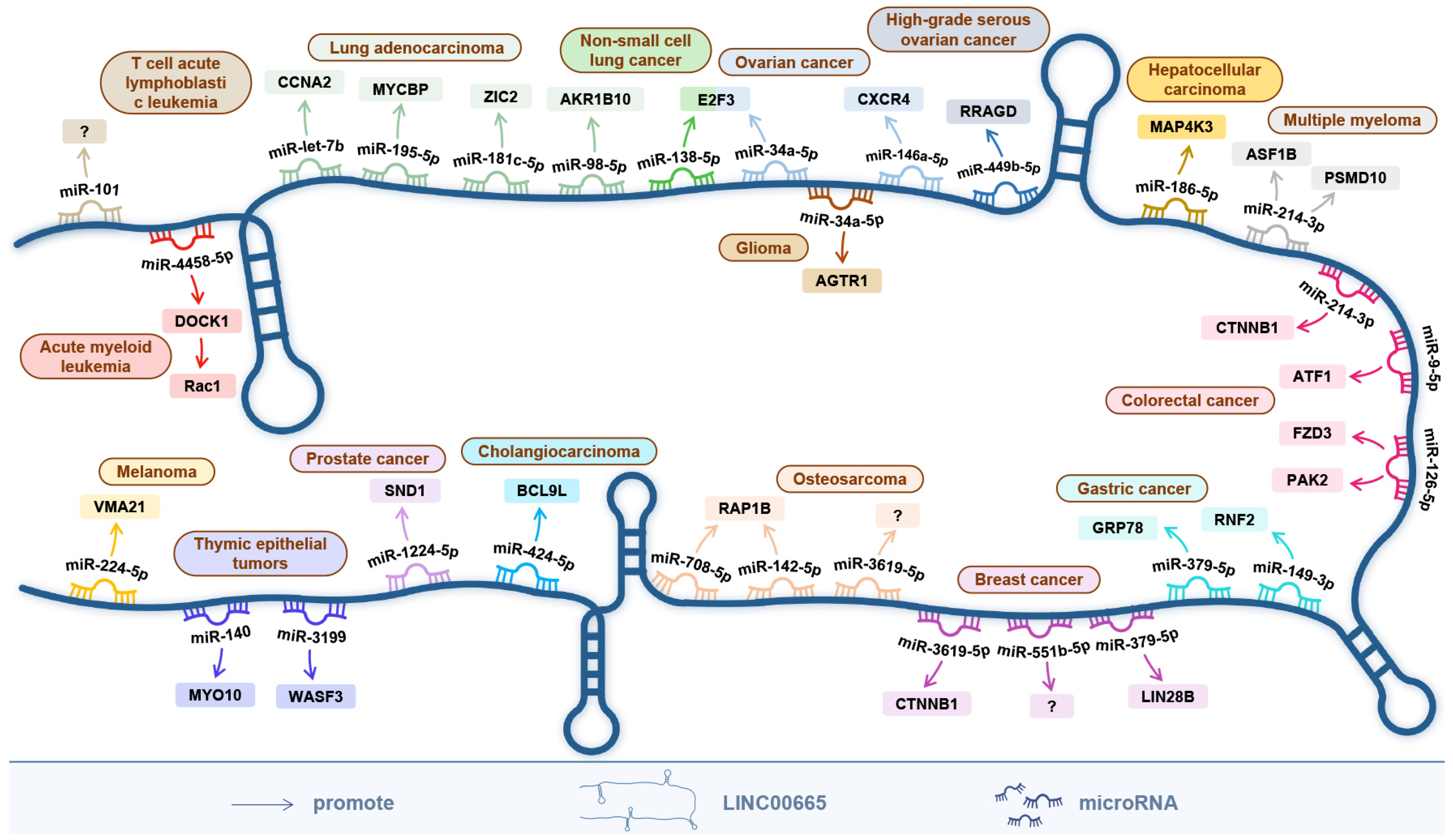 Cells 11 01540 g002 550