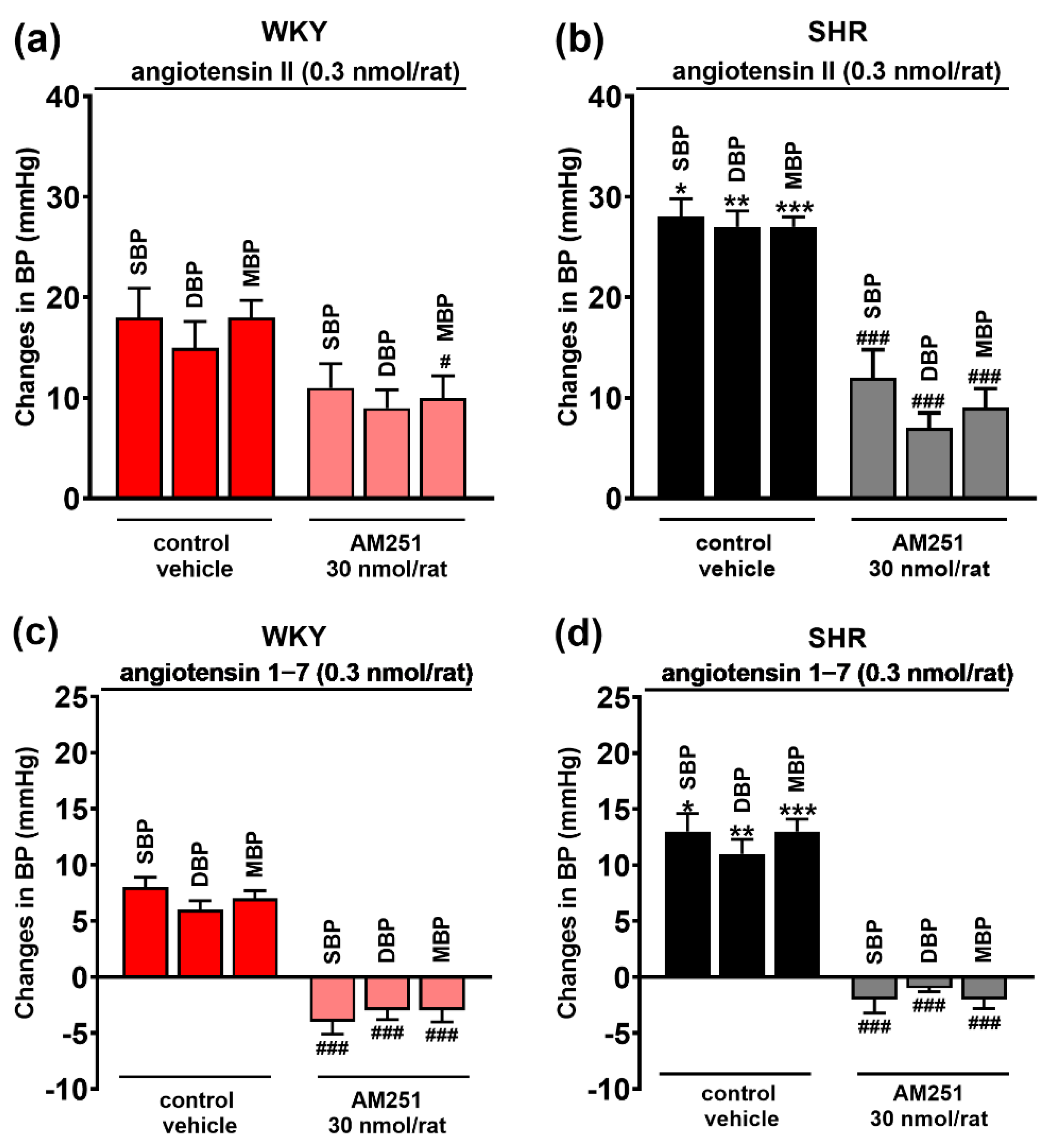 Cells 11 01542 g005 Cells 11 01542 g005