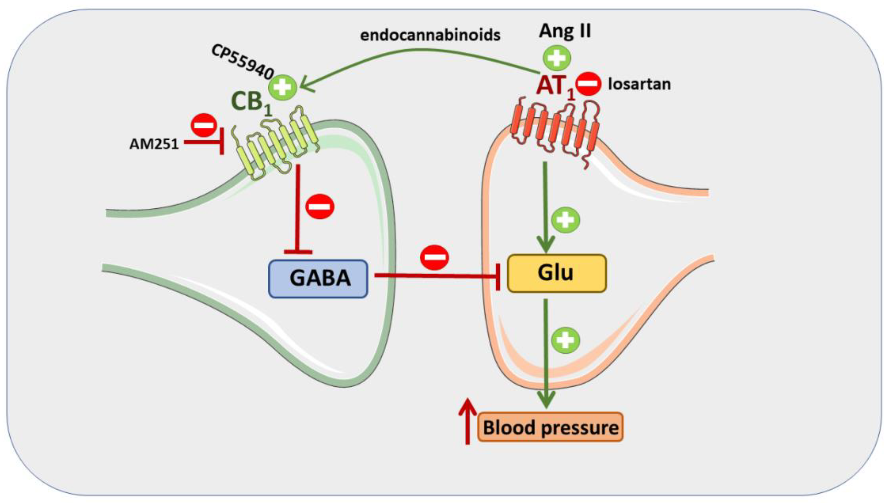Cells 11 01542 g008 Cells 11 01542 g008