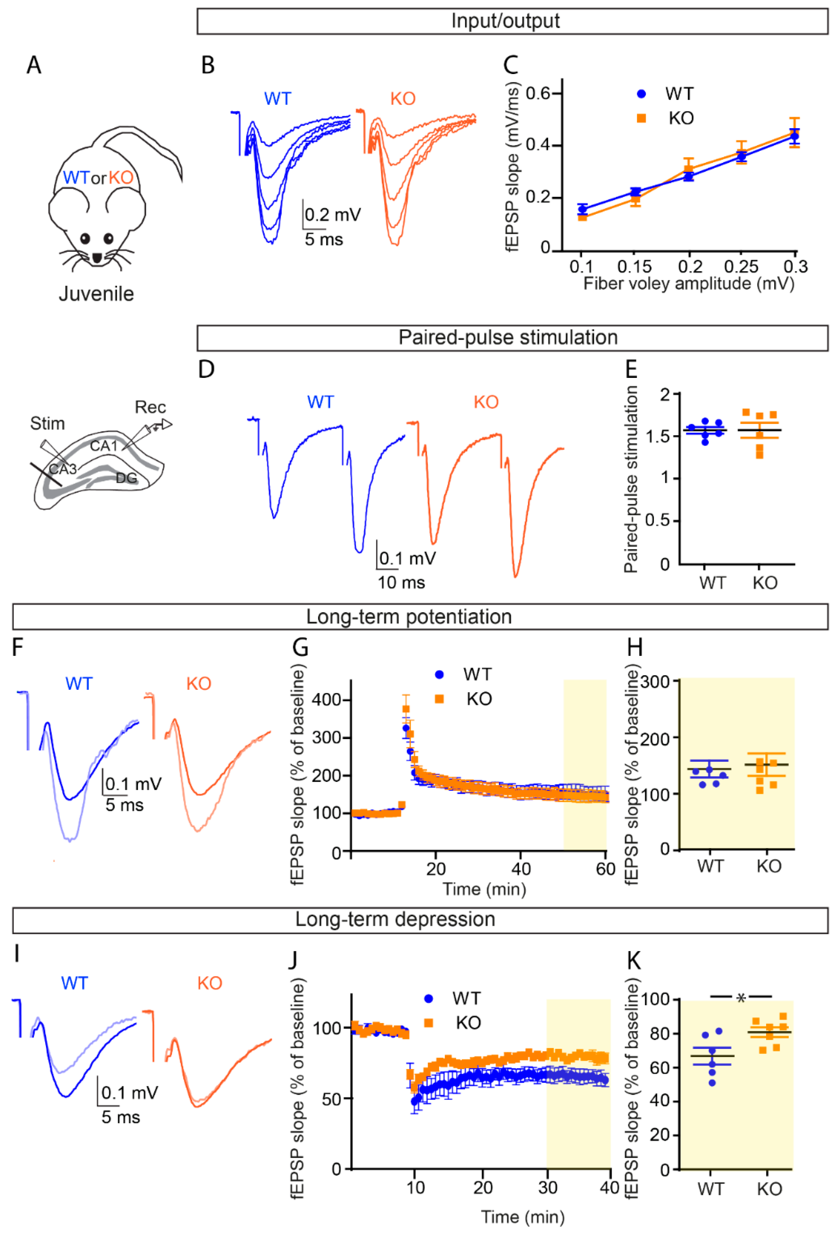 Cells 11 01545 g001 Cells 11 01545 g001