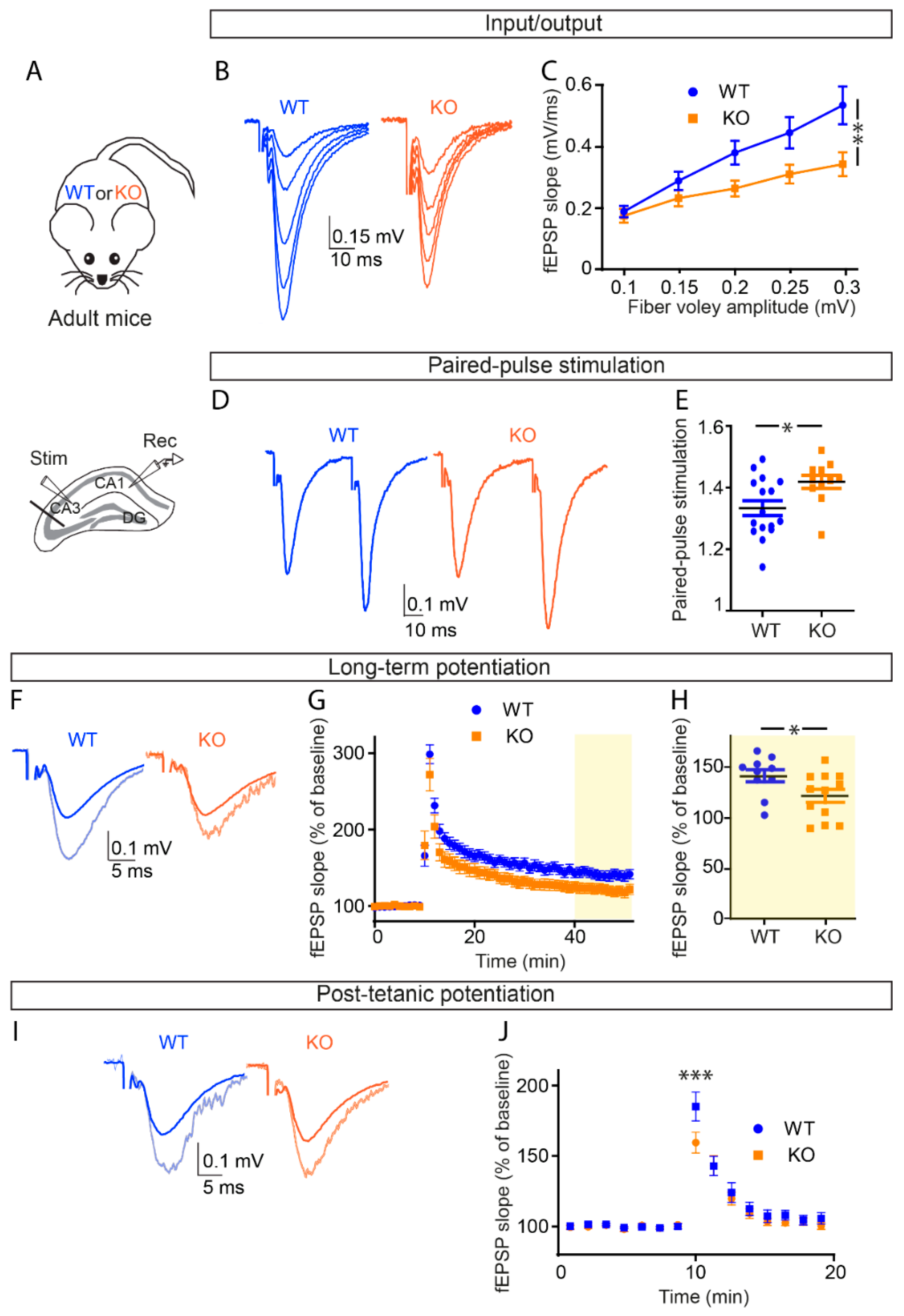 Cells 11 01545 g002 Cells 11 01545 g002