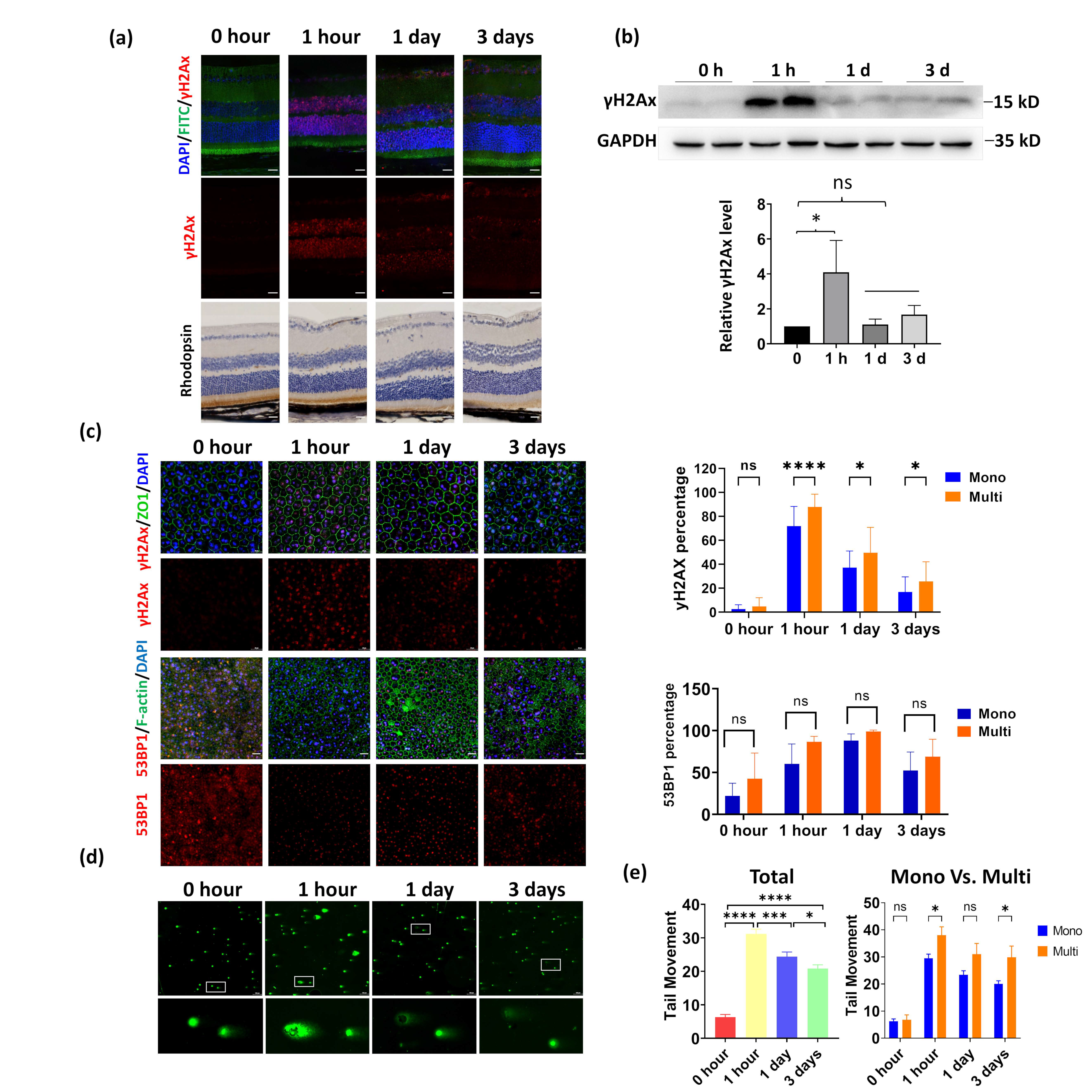 Cells 11 01552 g003 Cells 11 01552 g003