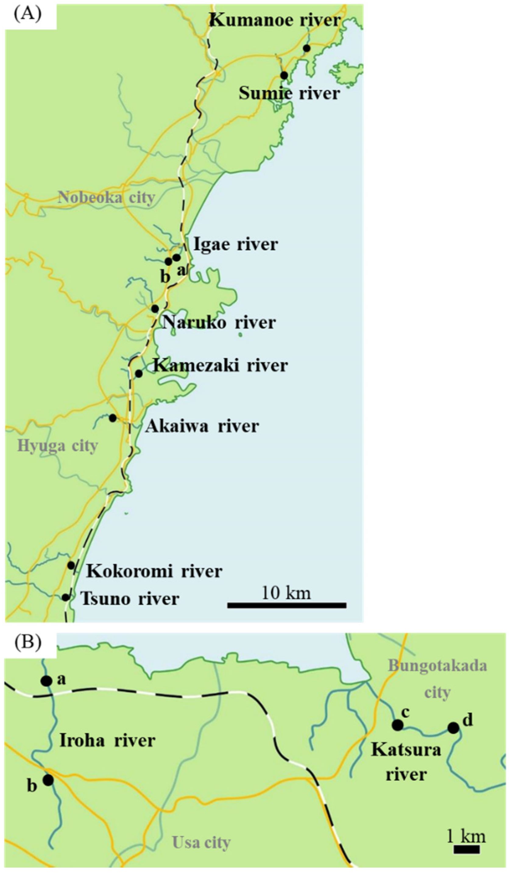 Cells 11 01554 g001 Cells 11 01554 g001