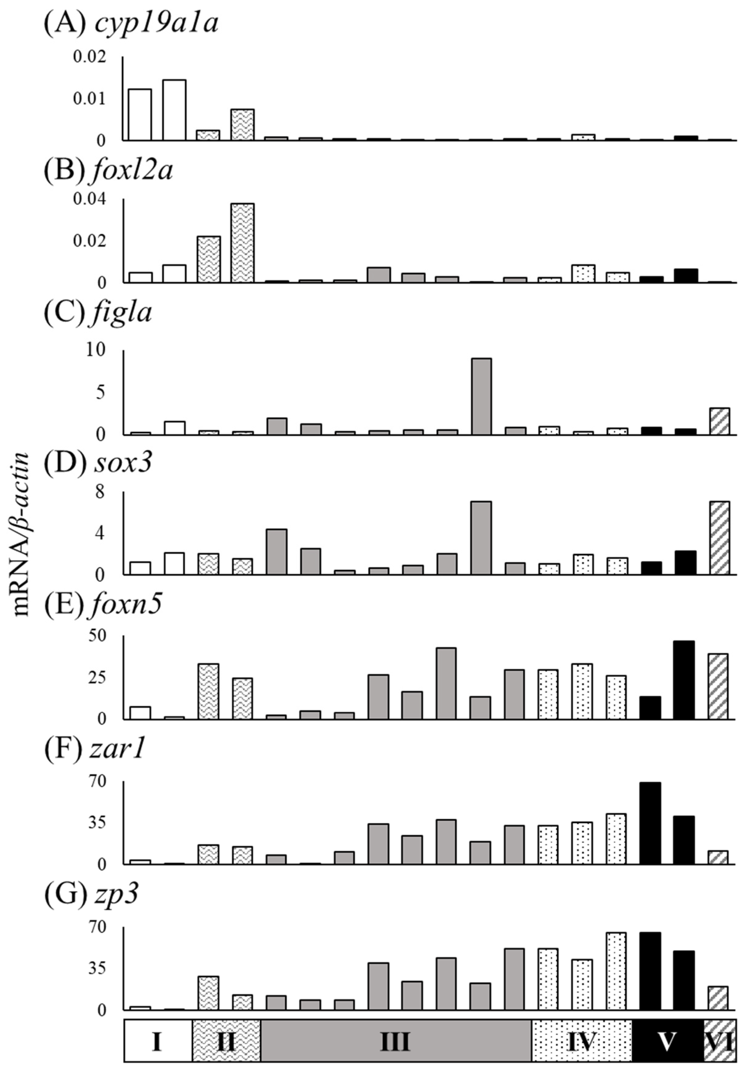 Cells 11 01554 g009 Cells 11 01554 g009