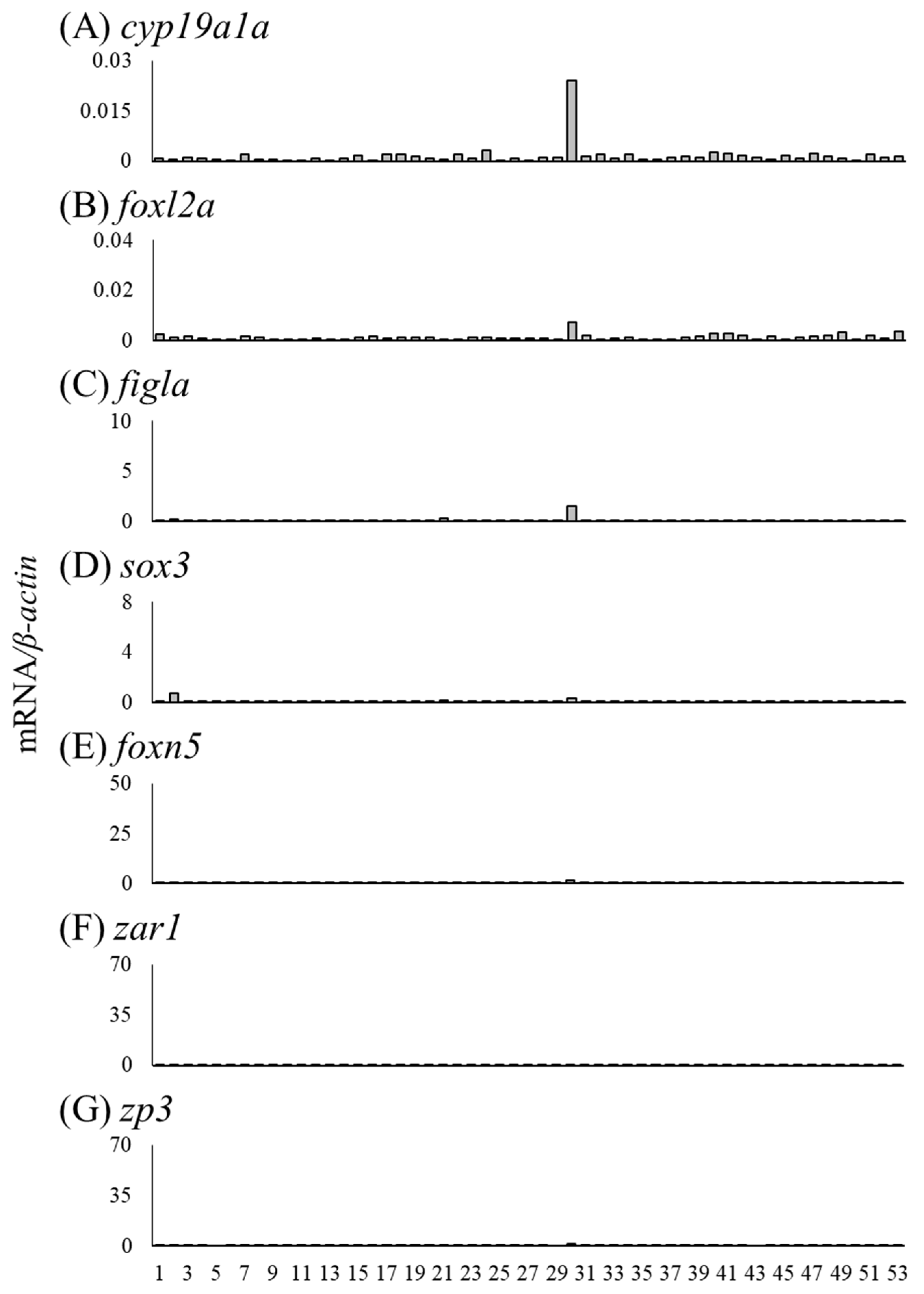 Cells 11 01554 g010 Cells 11 01554 g010