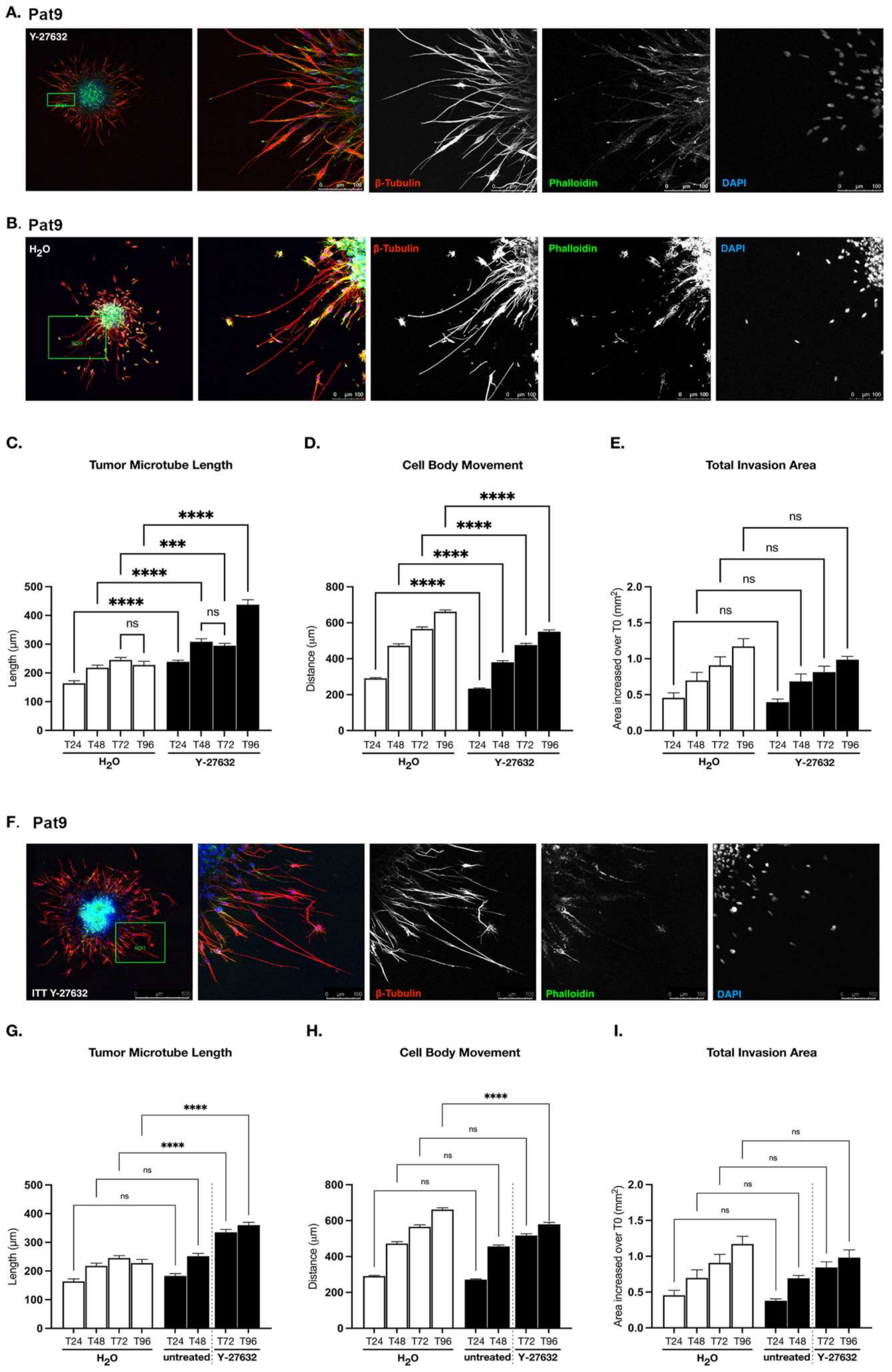 Cells 11 01559 g002 550