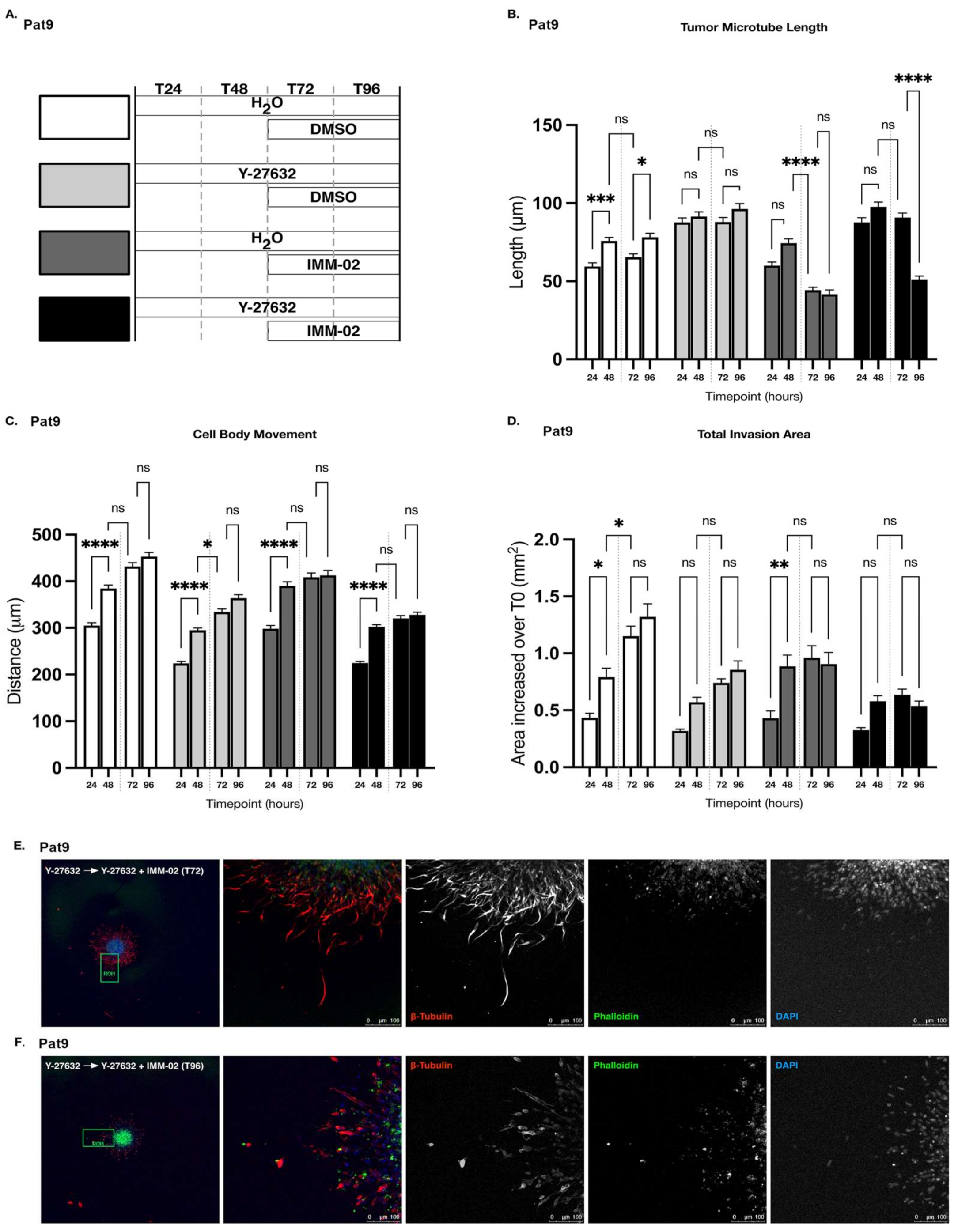 Cells 11 01559 g005 550