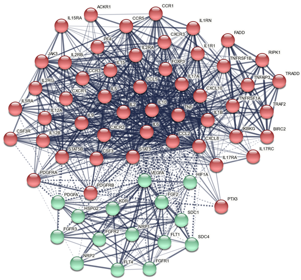 Cells 11 01564 g005 550