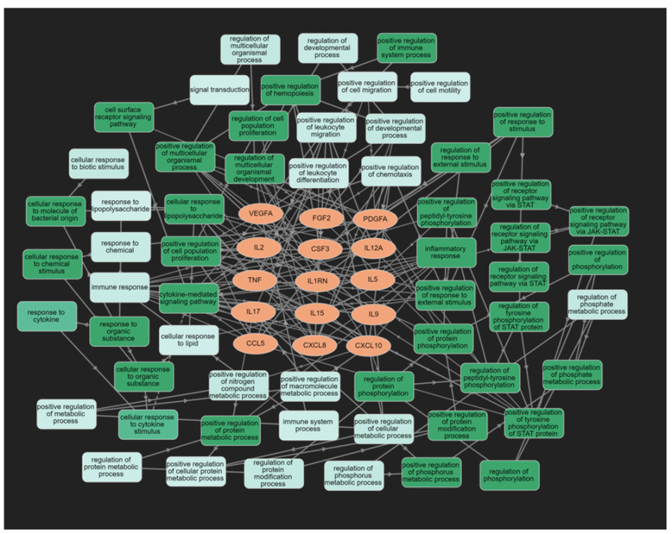 Cells 11 01564 g006 550