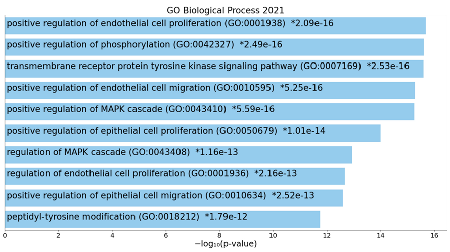 Cells 11 01564 g007 550