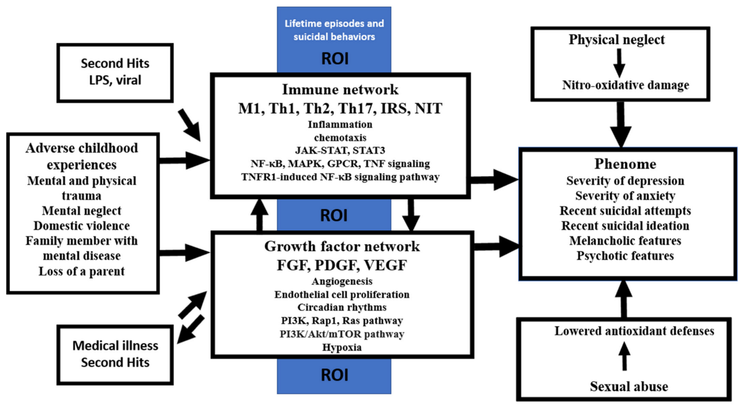 Cells 11 01564 g008 550