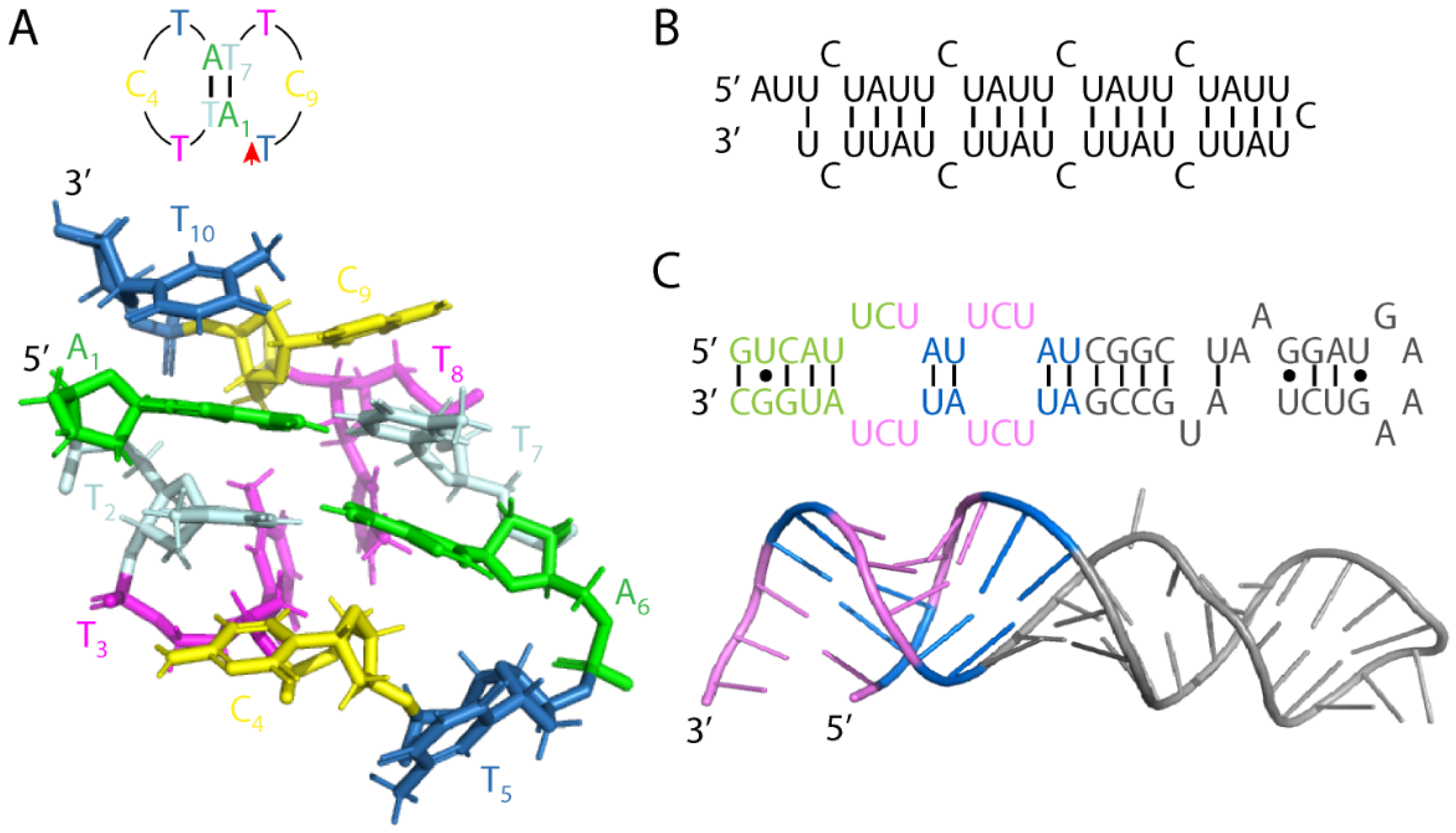 Cells Free Full Text Mechanistic And Therapeutic Insights Into Ataxic Disorders With Pentanucleotide Expansions
