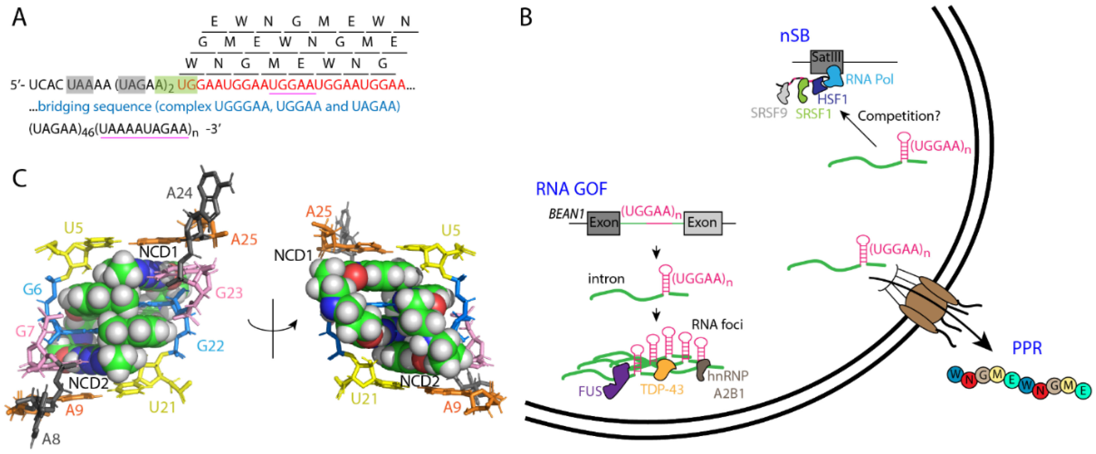 Cells 11 01567 g003 550