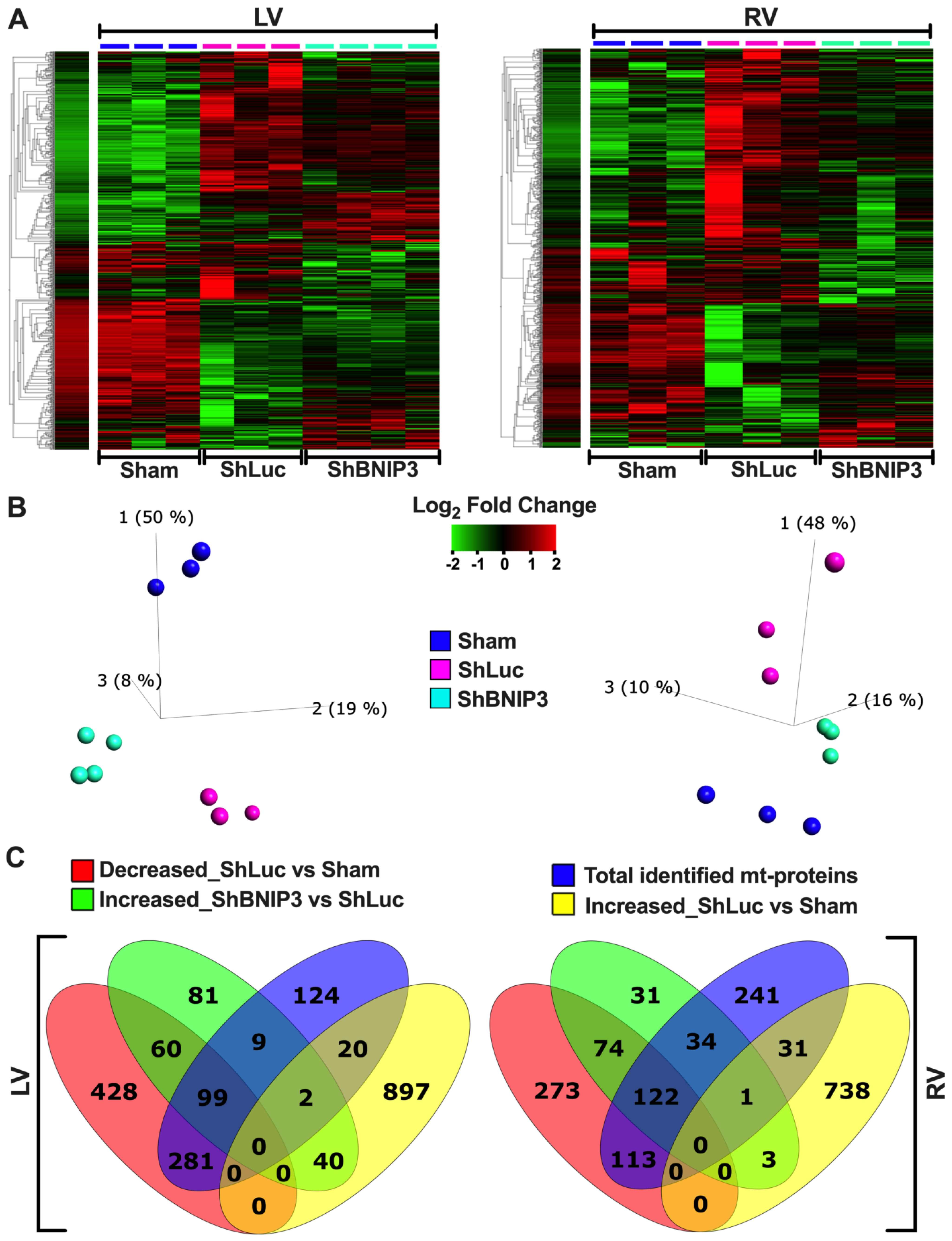 Cells 11 01572 g001a