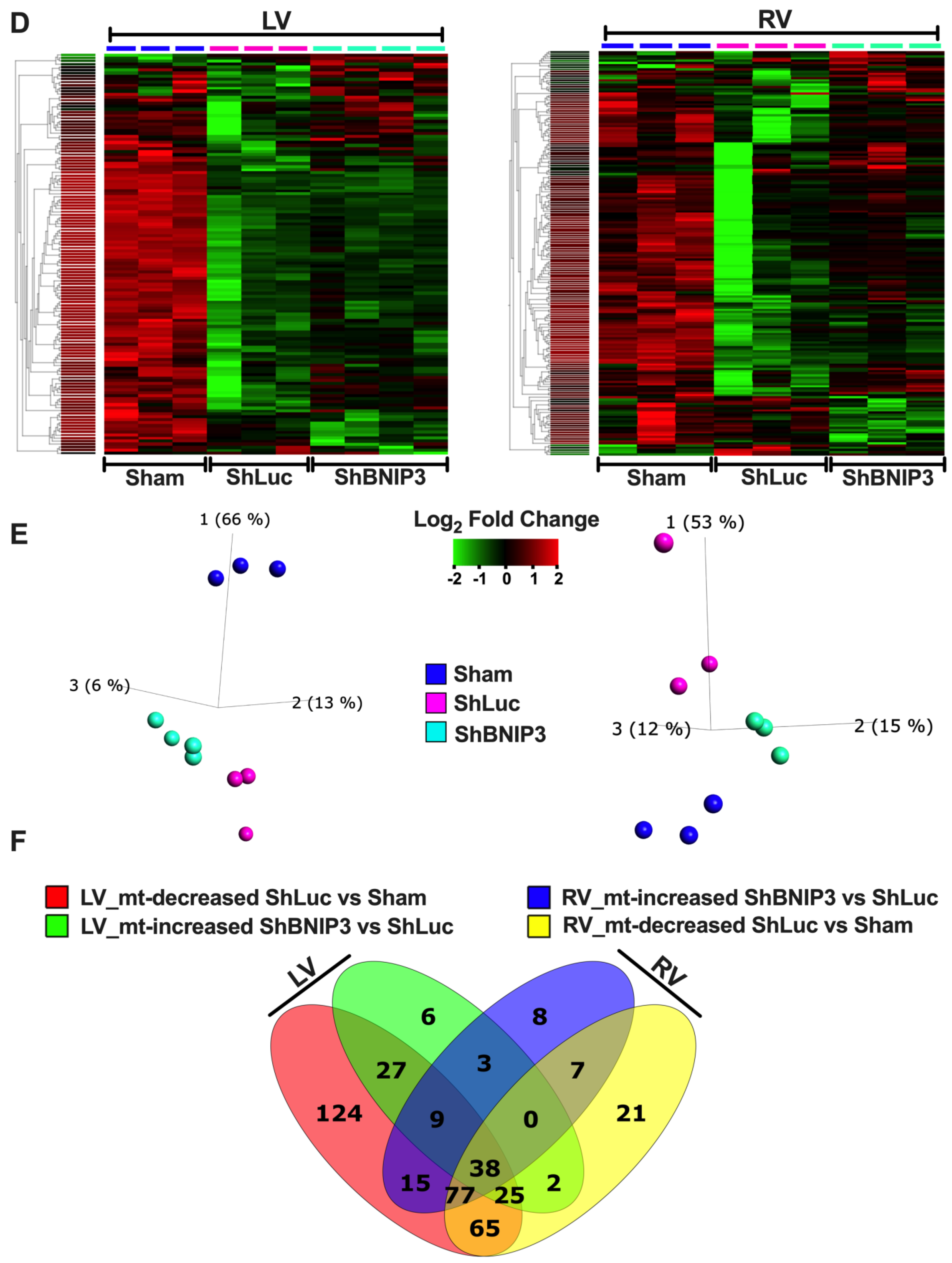 Cells 11 01572 g001b