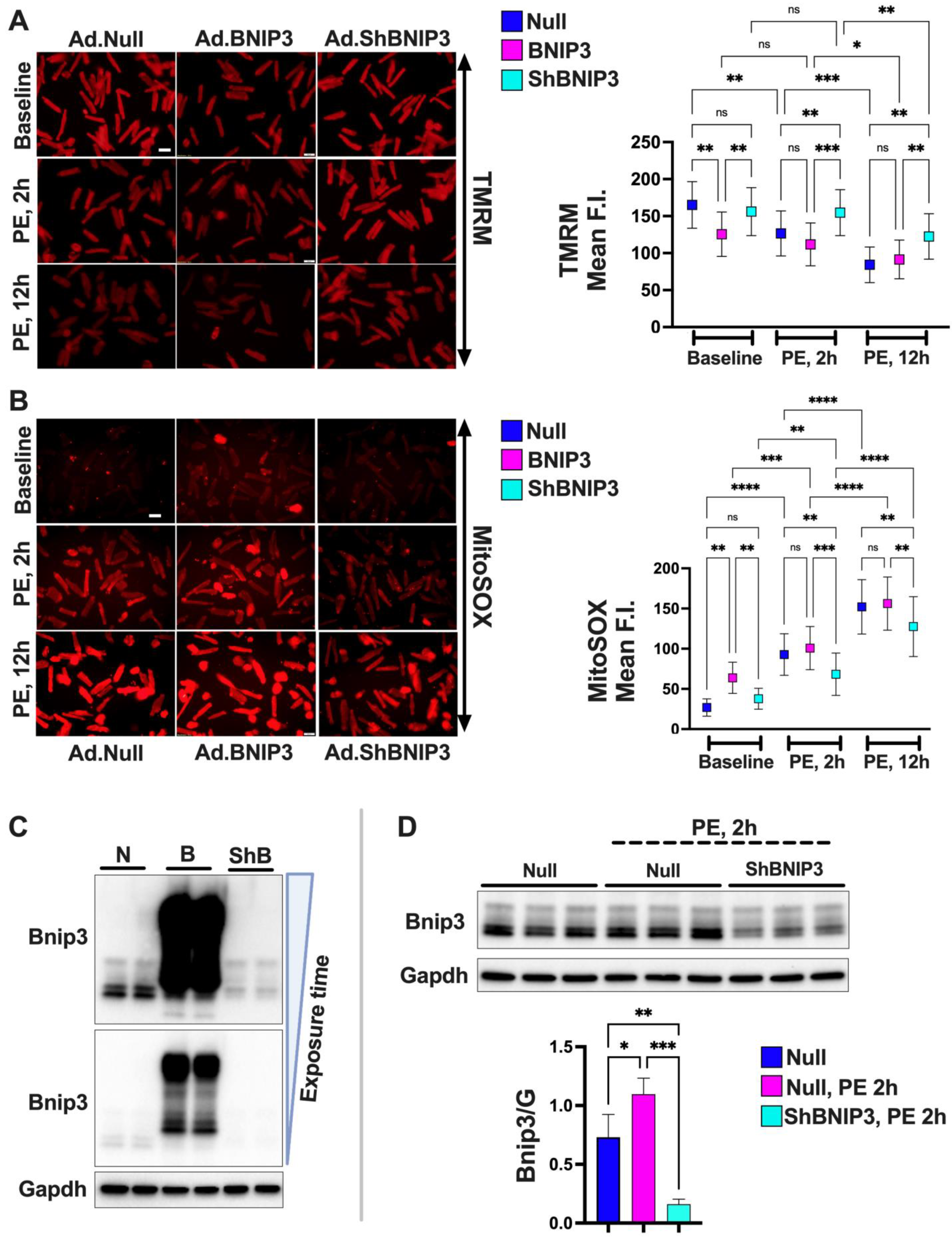 Cells 11 01572 g003a