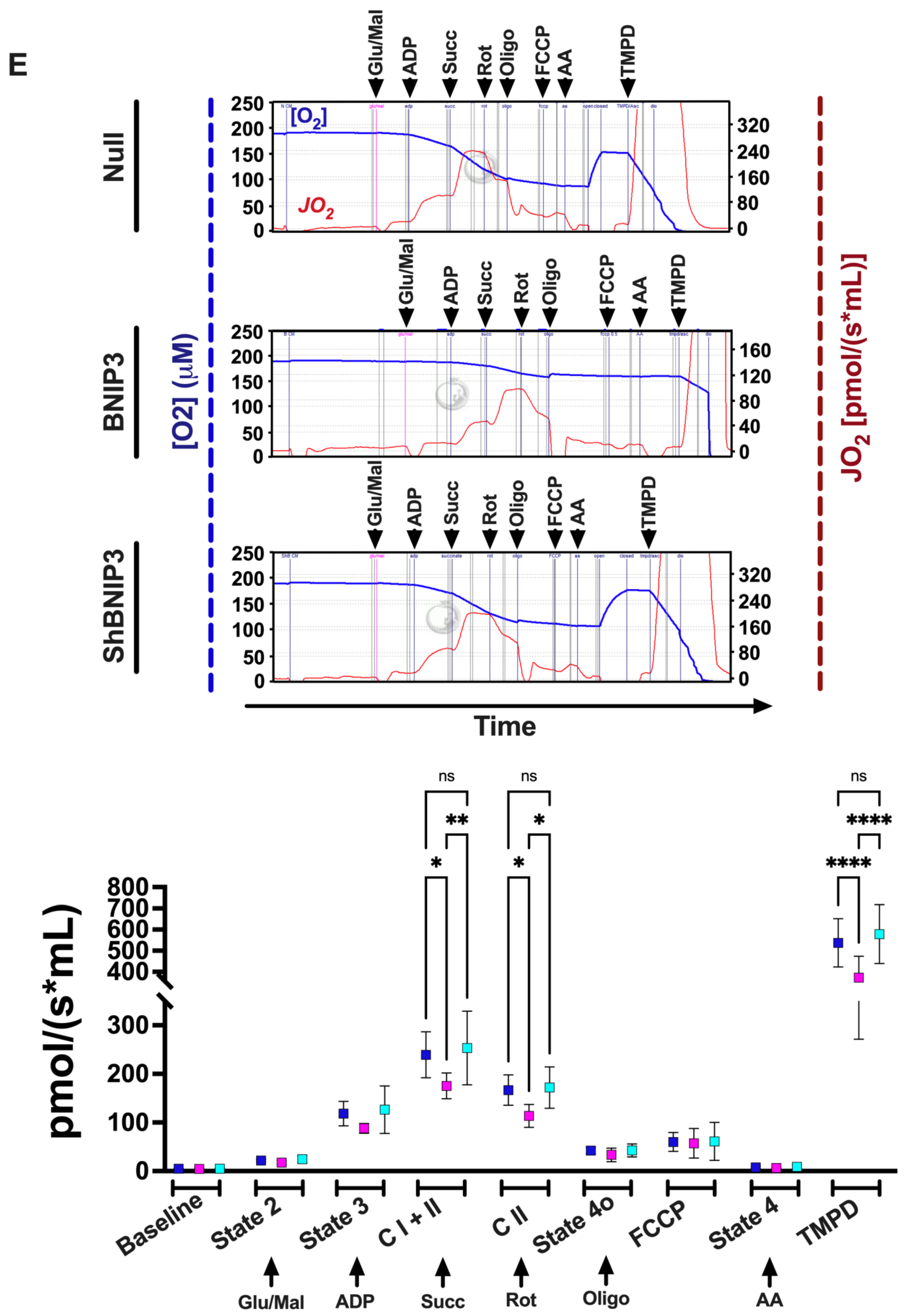 Cells 11 01572 g003b