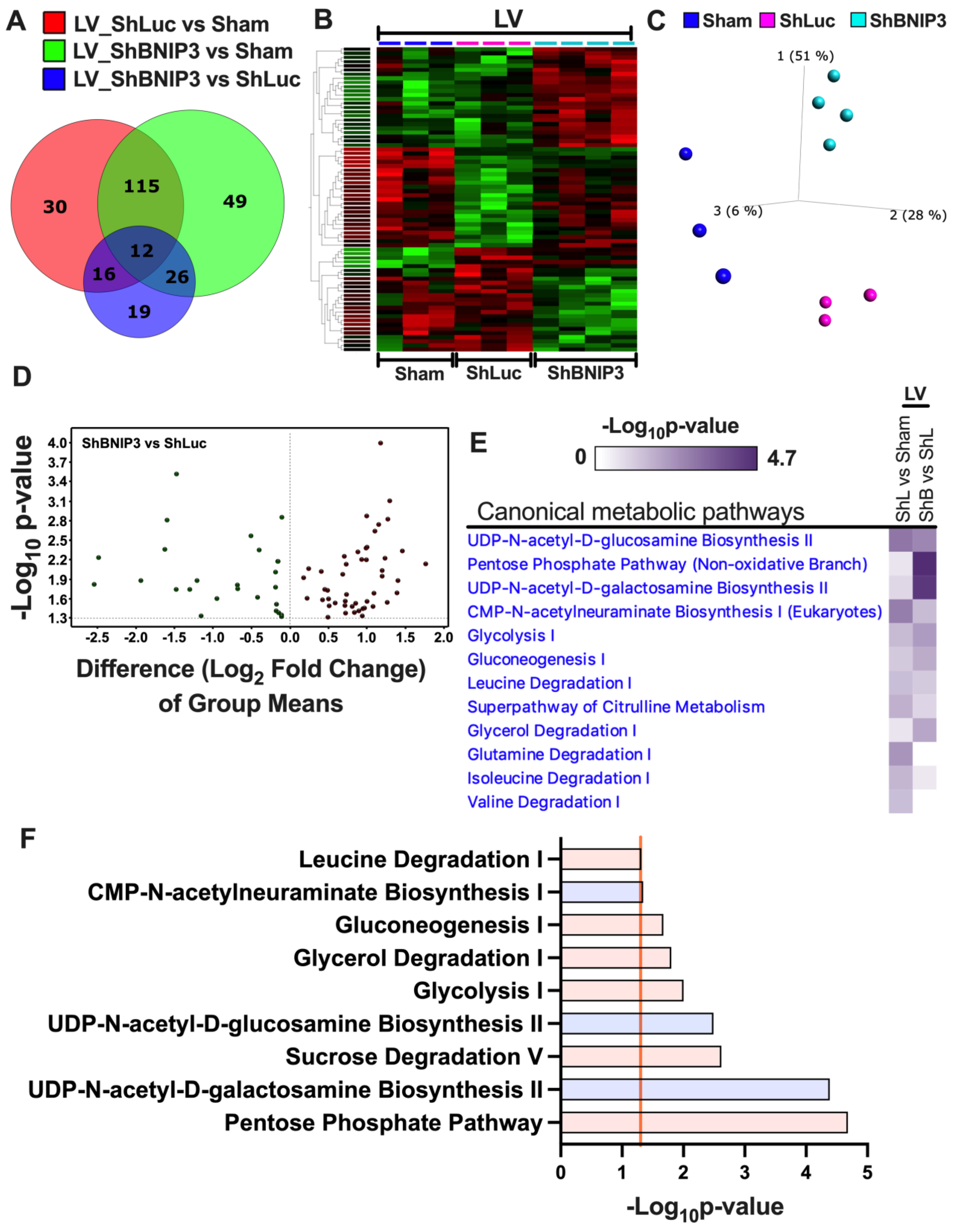 Cells 11 01572 g004a