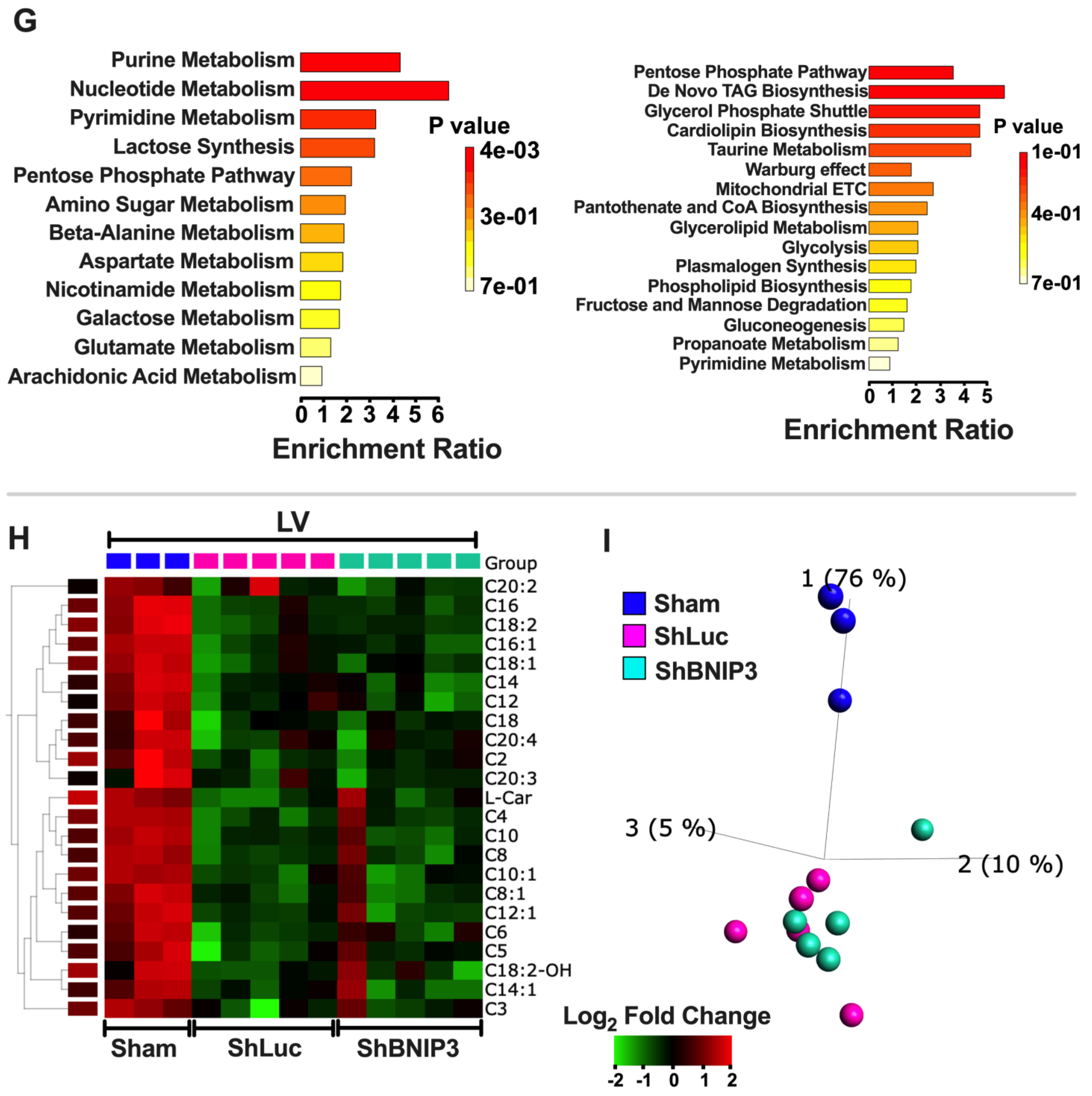 Cells 11 01572 g004b