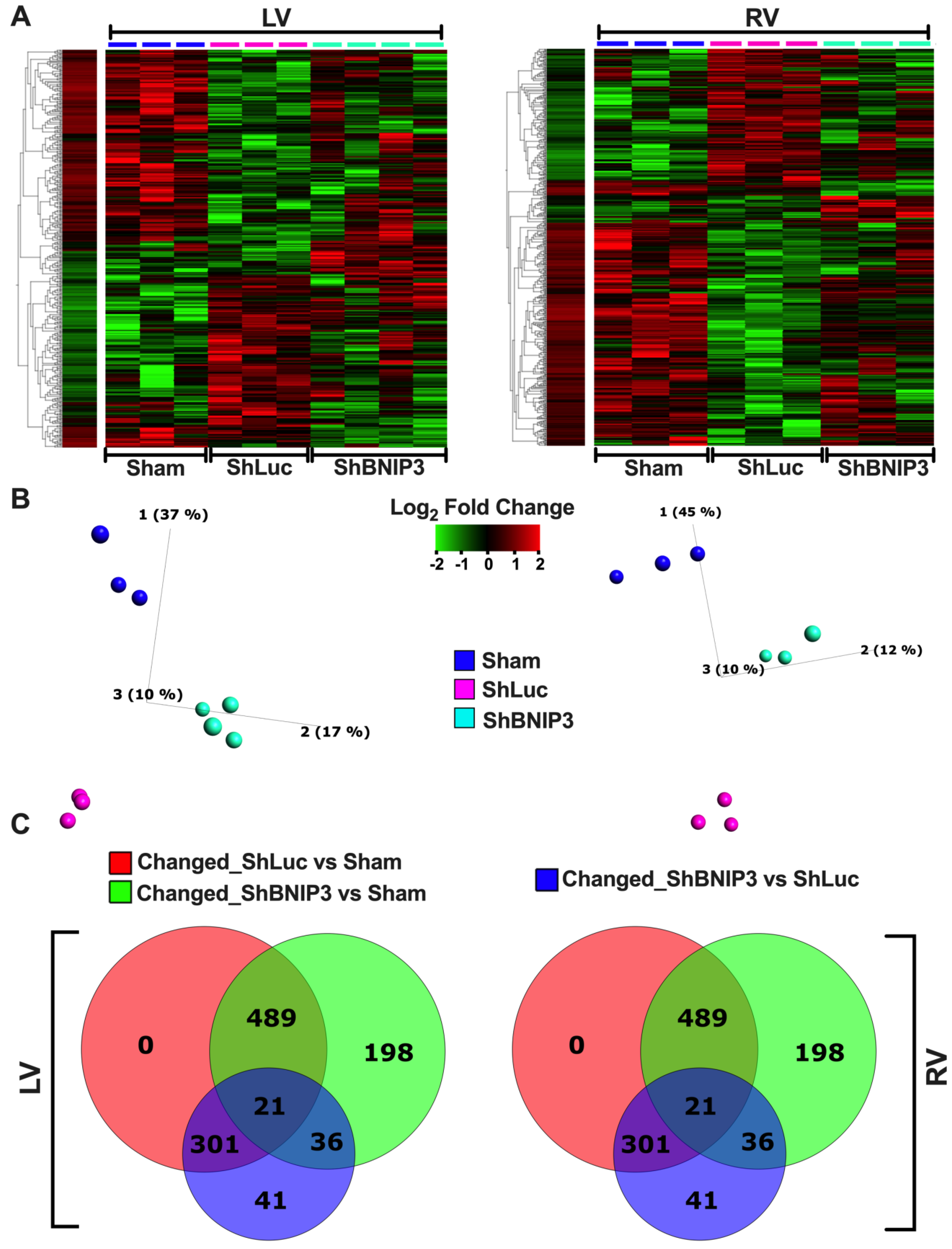 Cells 11 01572 g005a