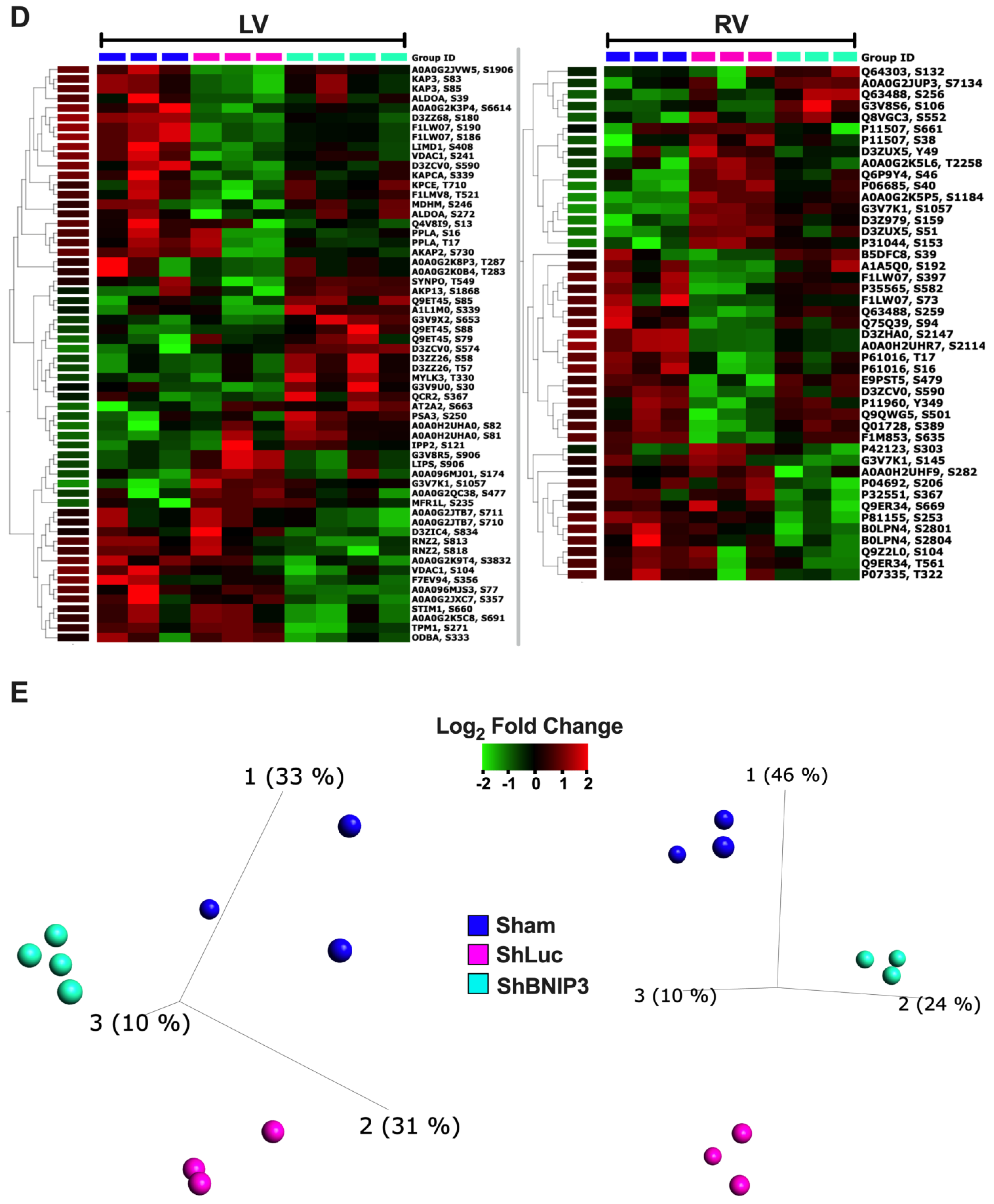 Cells 11 01572 g005b