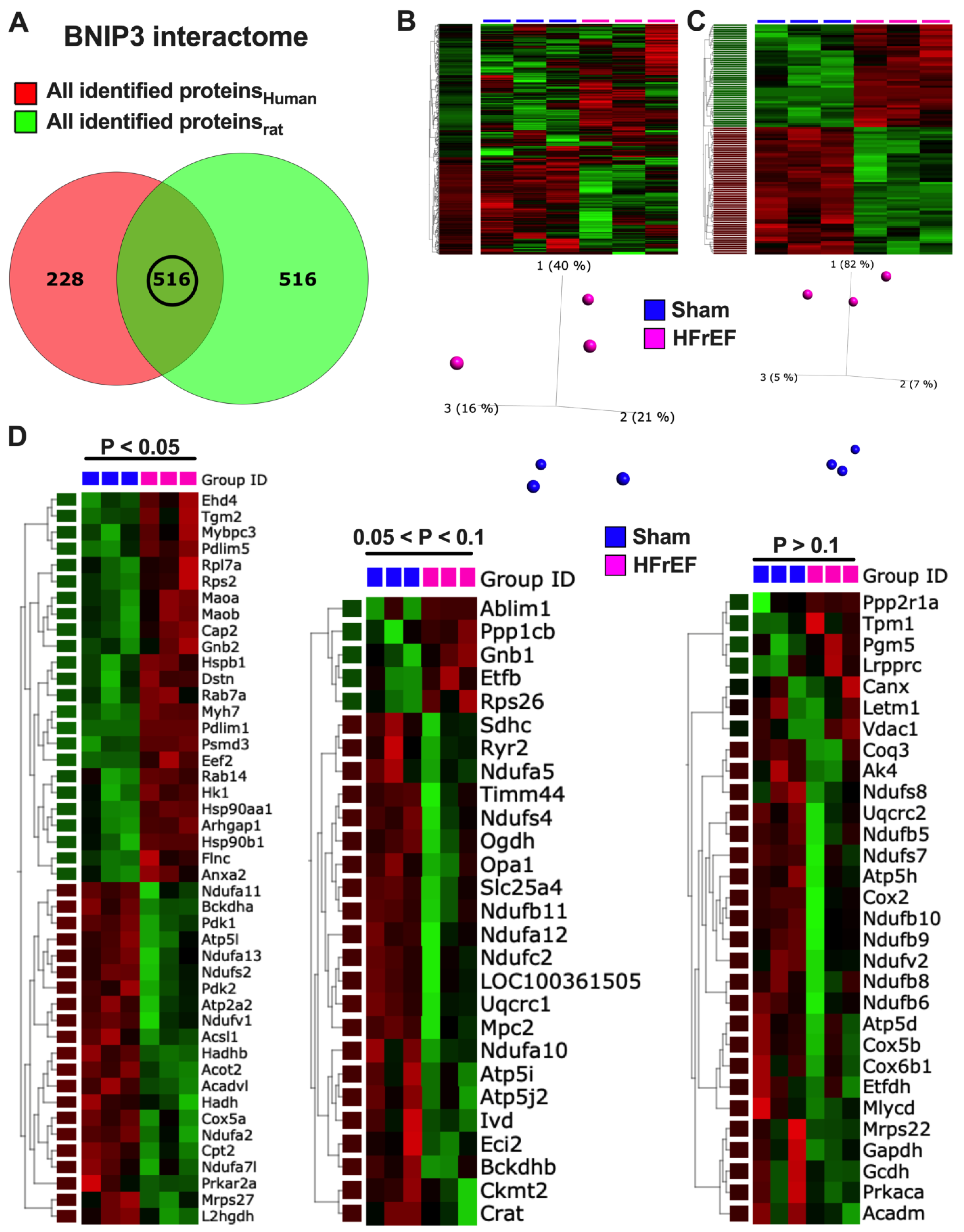 Cells 11 01572 g007a