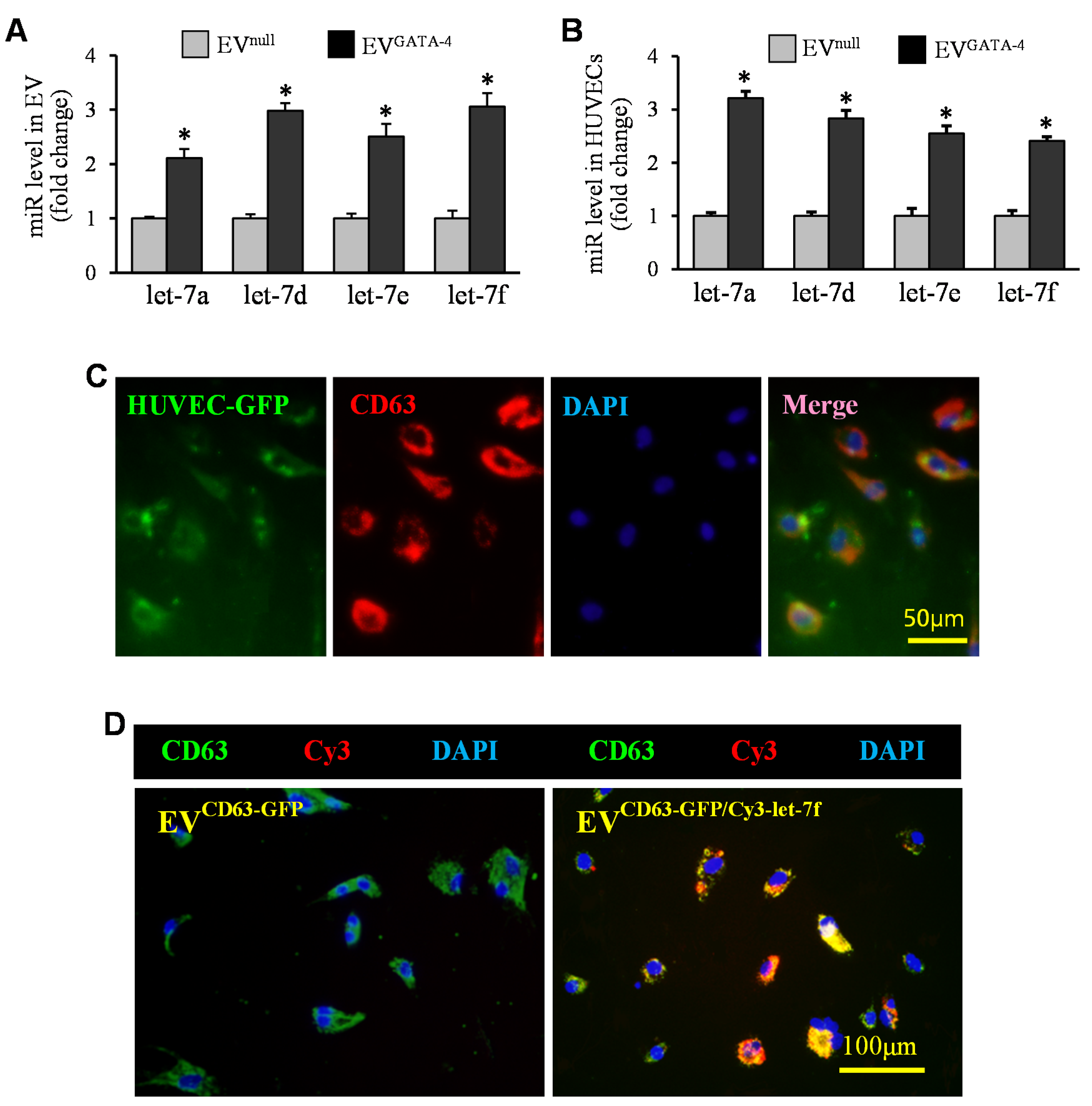 Cells 11 01573 g005 Cells 11 01573 g005