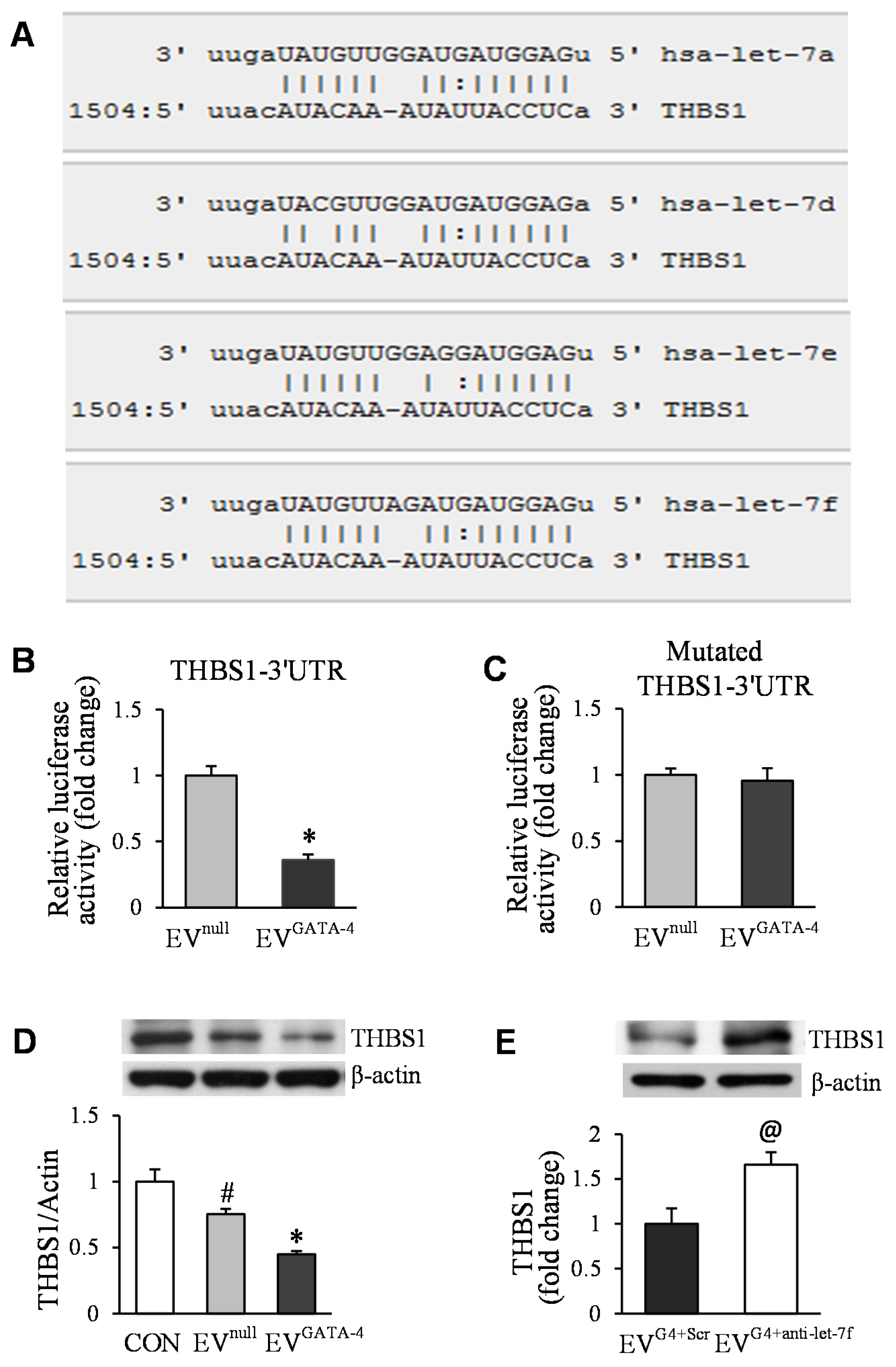 Cells 11 01573 g007 Cells 11 01573 g007