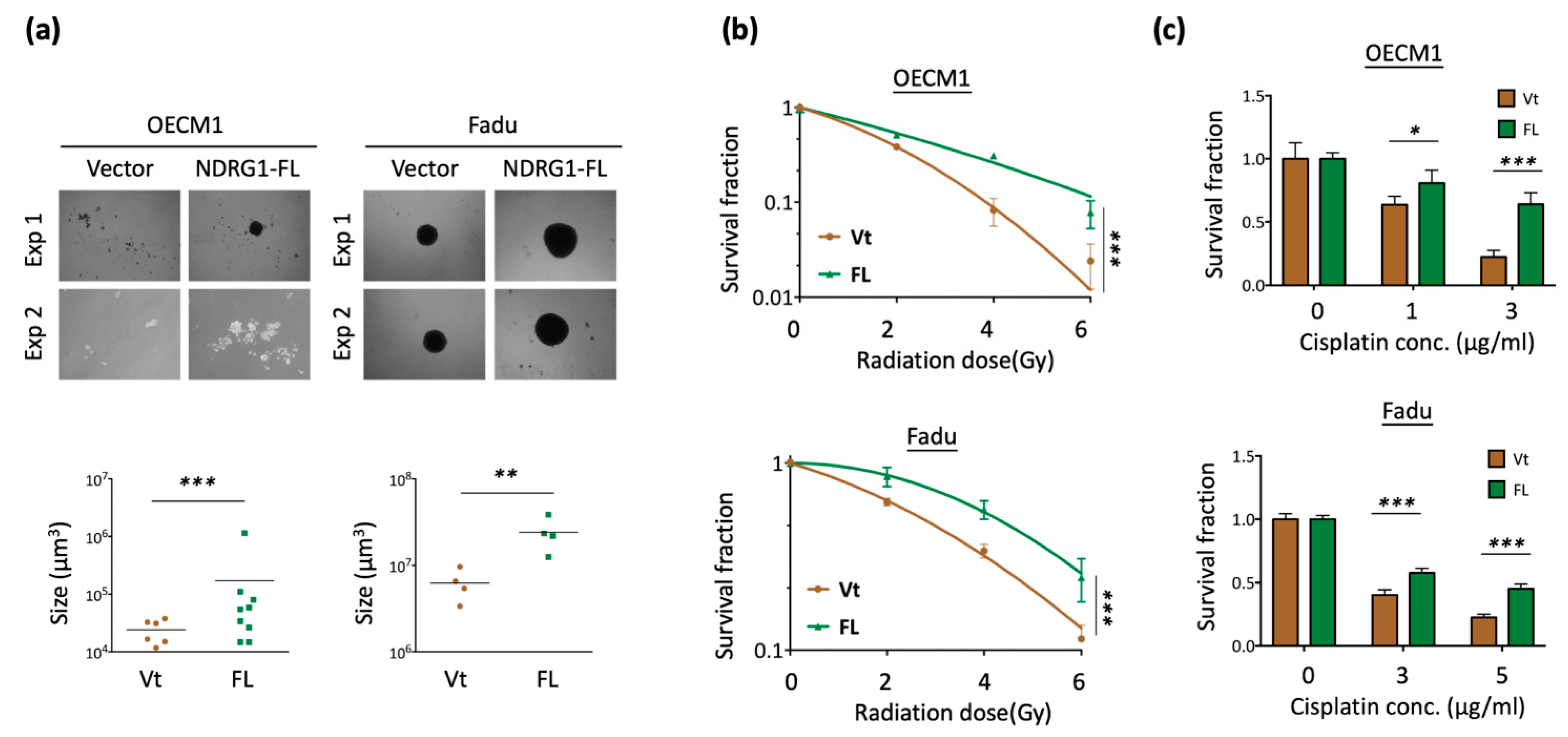 Cells 11 01581 g002a