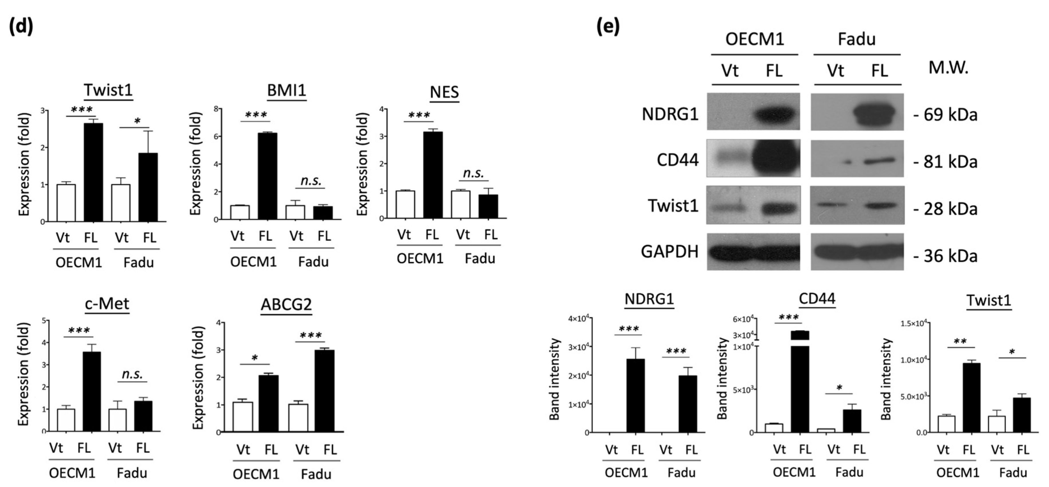 Cells 11 01581 g002b