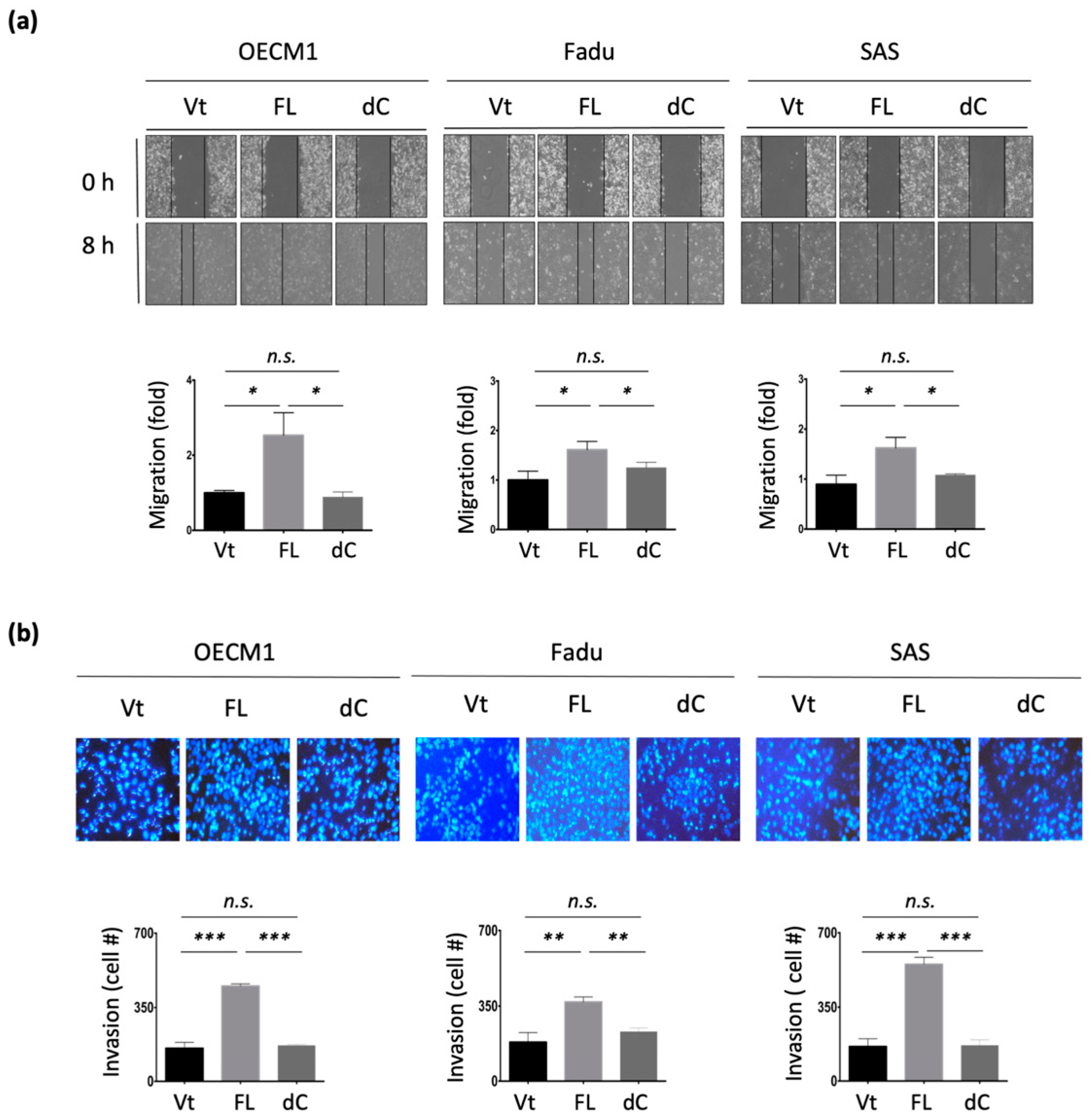 Cells 11 01581 g005a