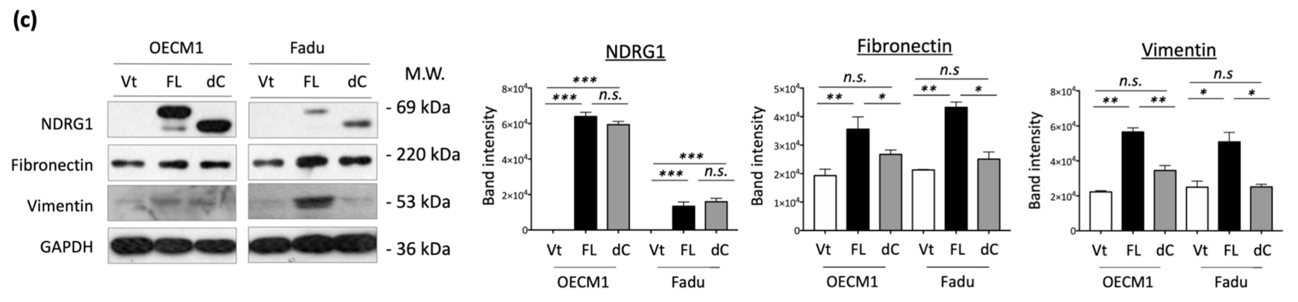 Cells 11 01581 g005b