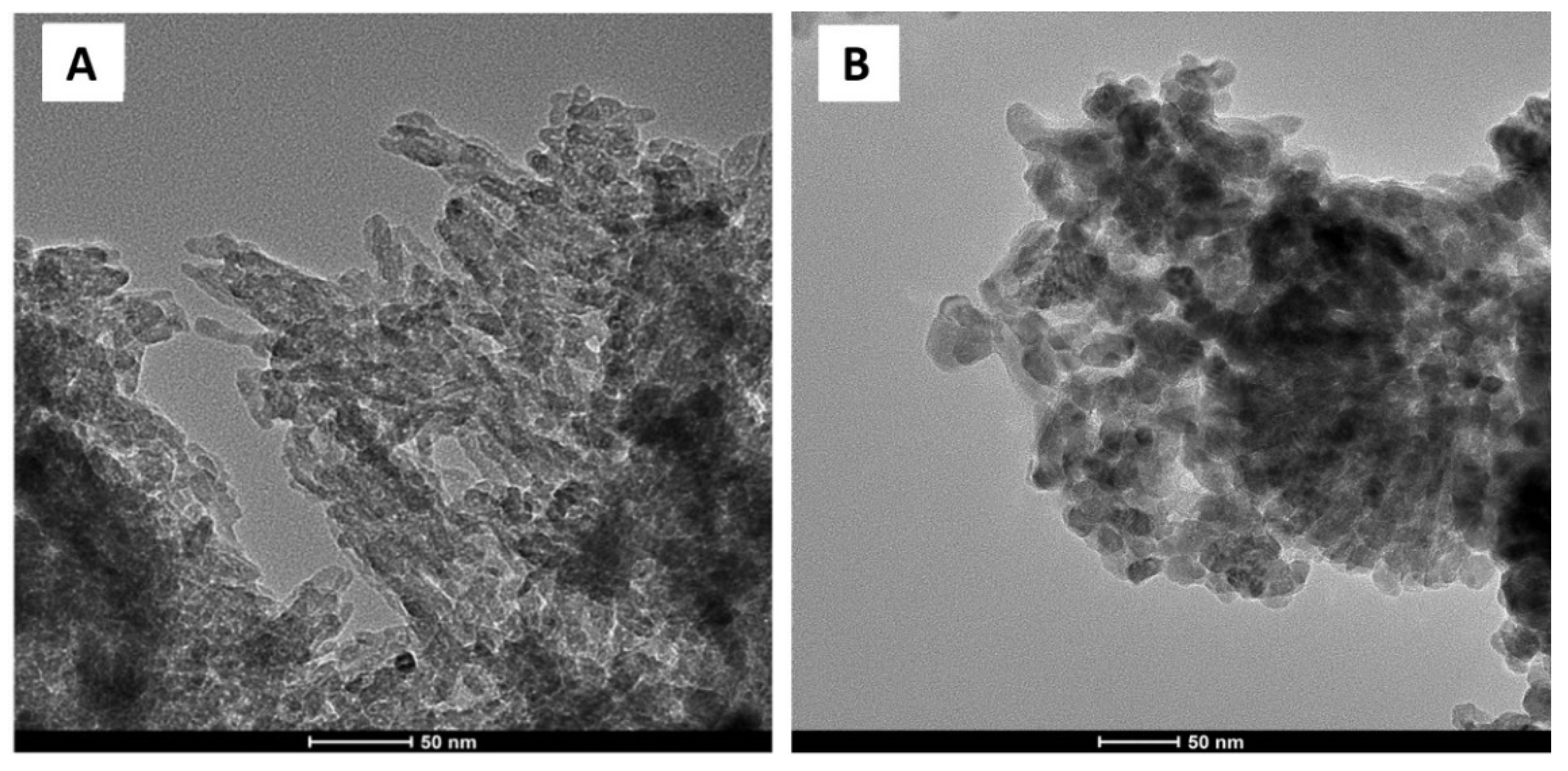 Cells 11 01582 g002