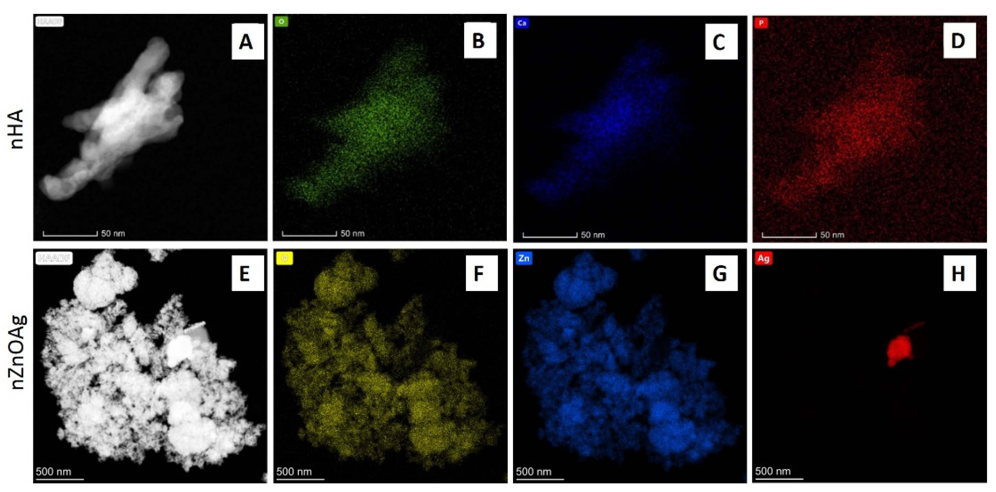 Cells 11 01582 g003