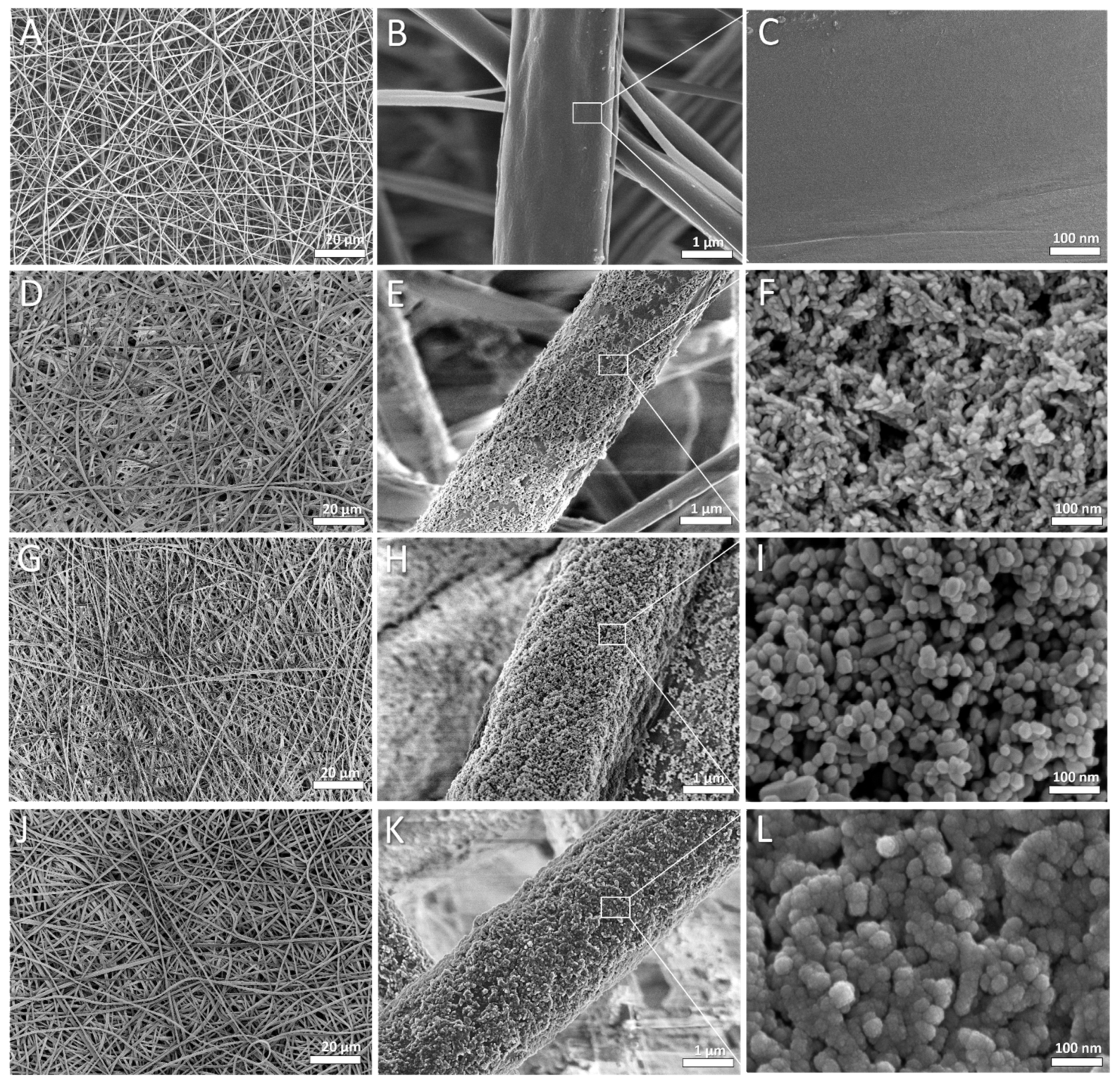 Cells 11 01582 g004