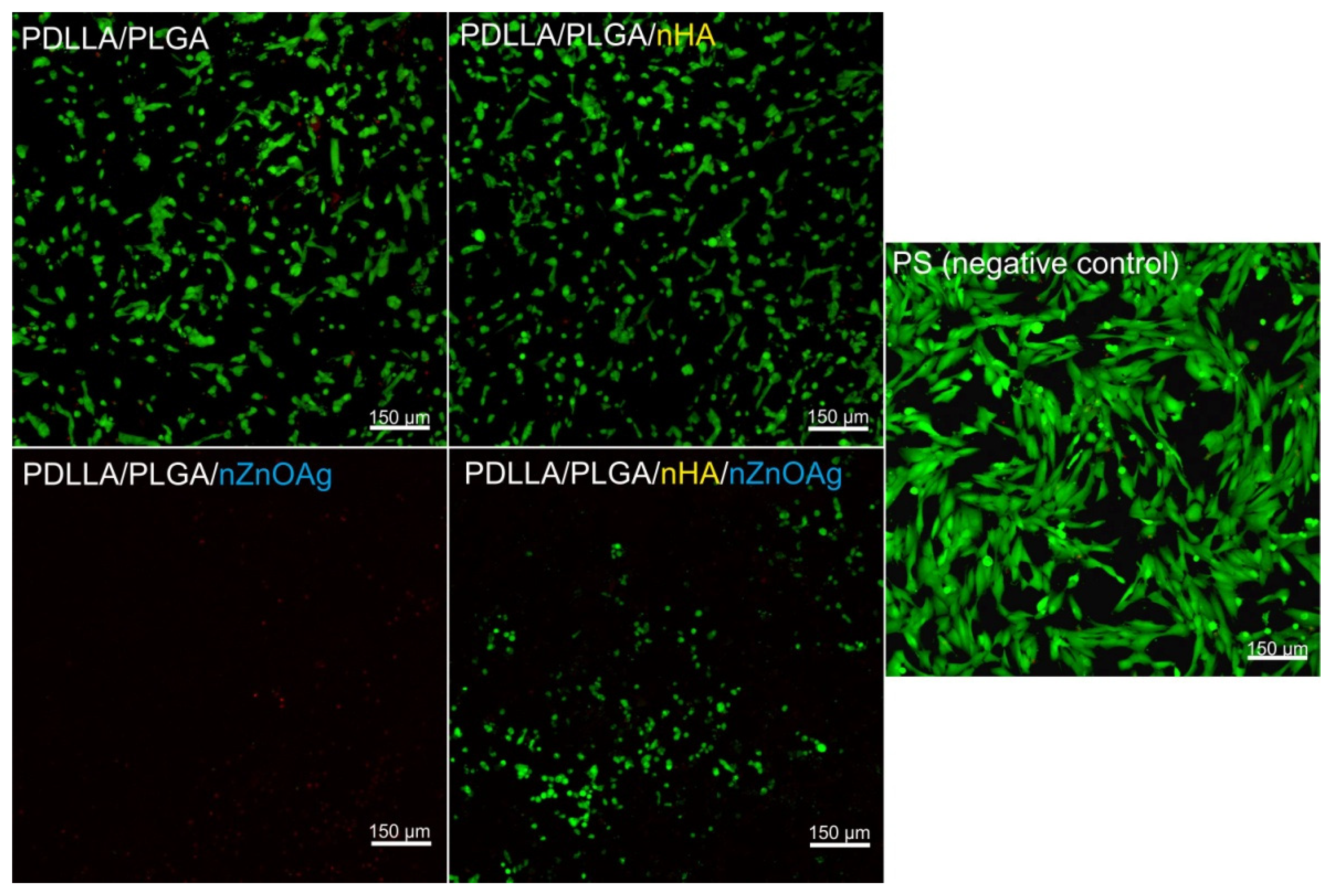Cells 11 01582 g009