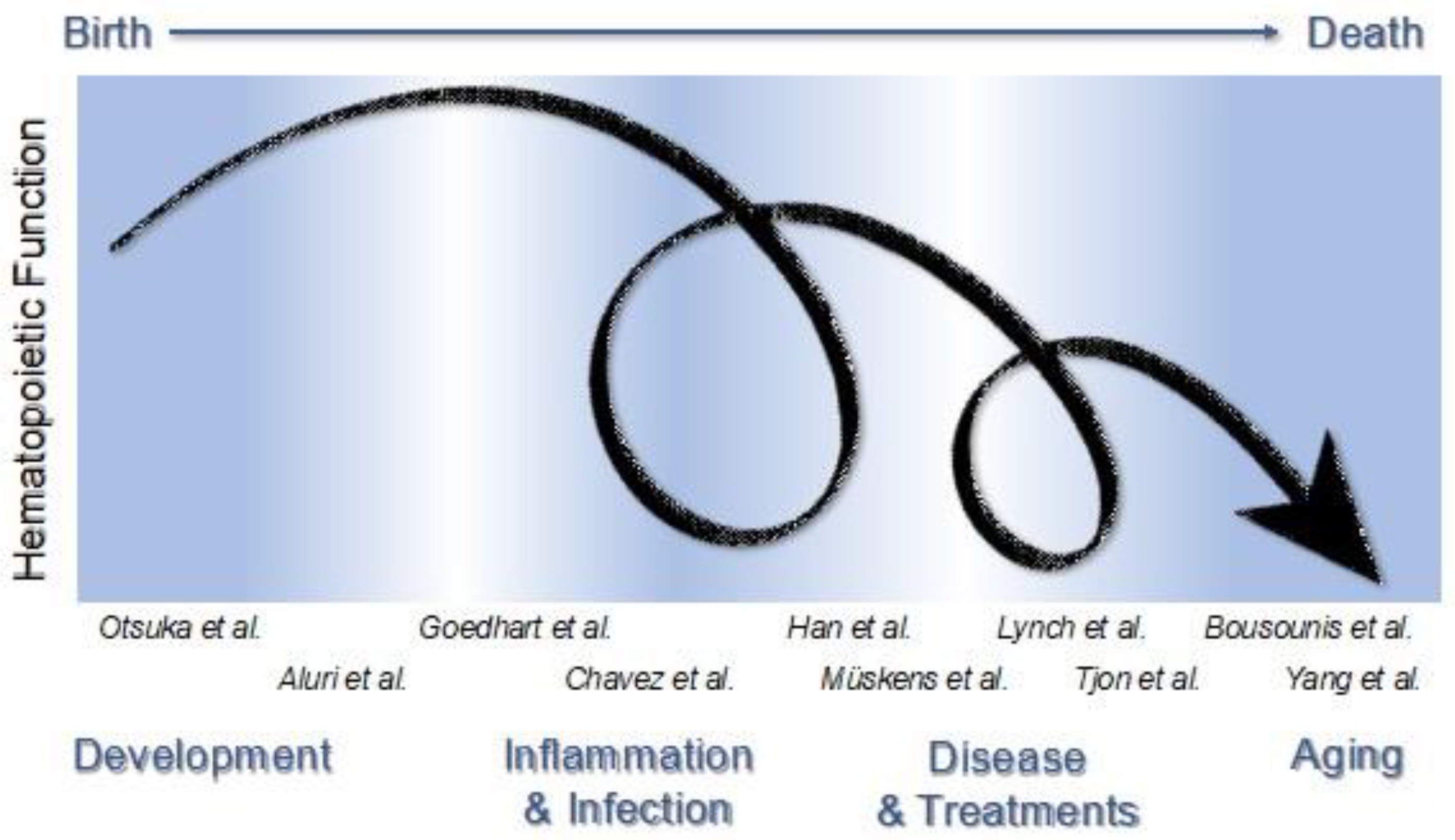 Cells 11 01586 g001 550