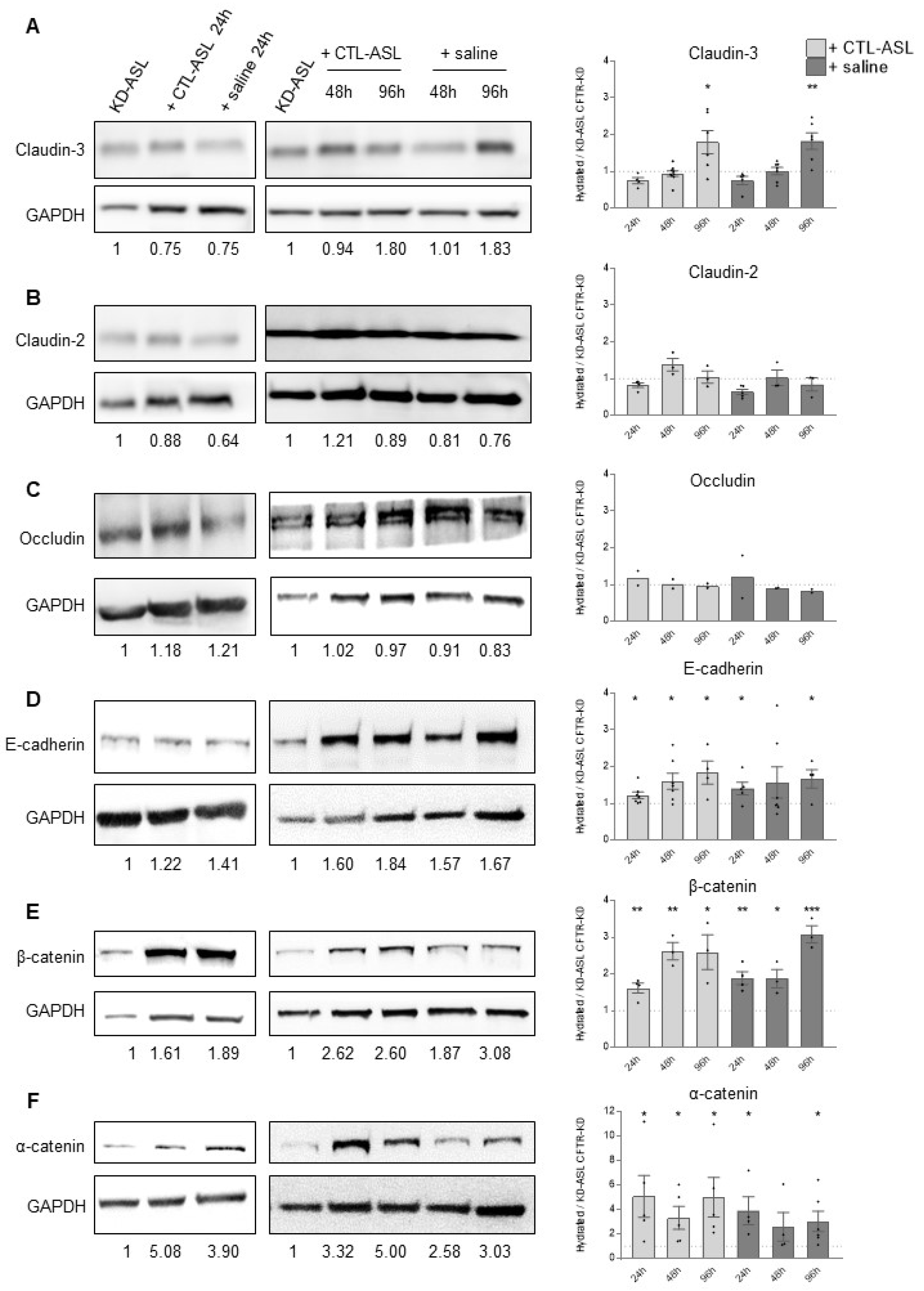 Cells 11 01587 g006