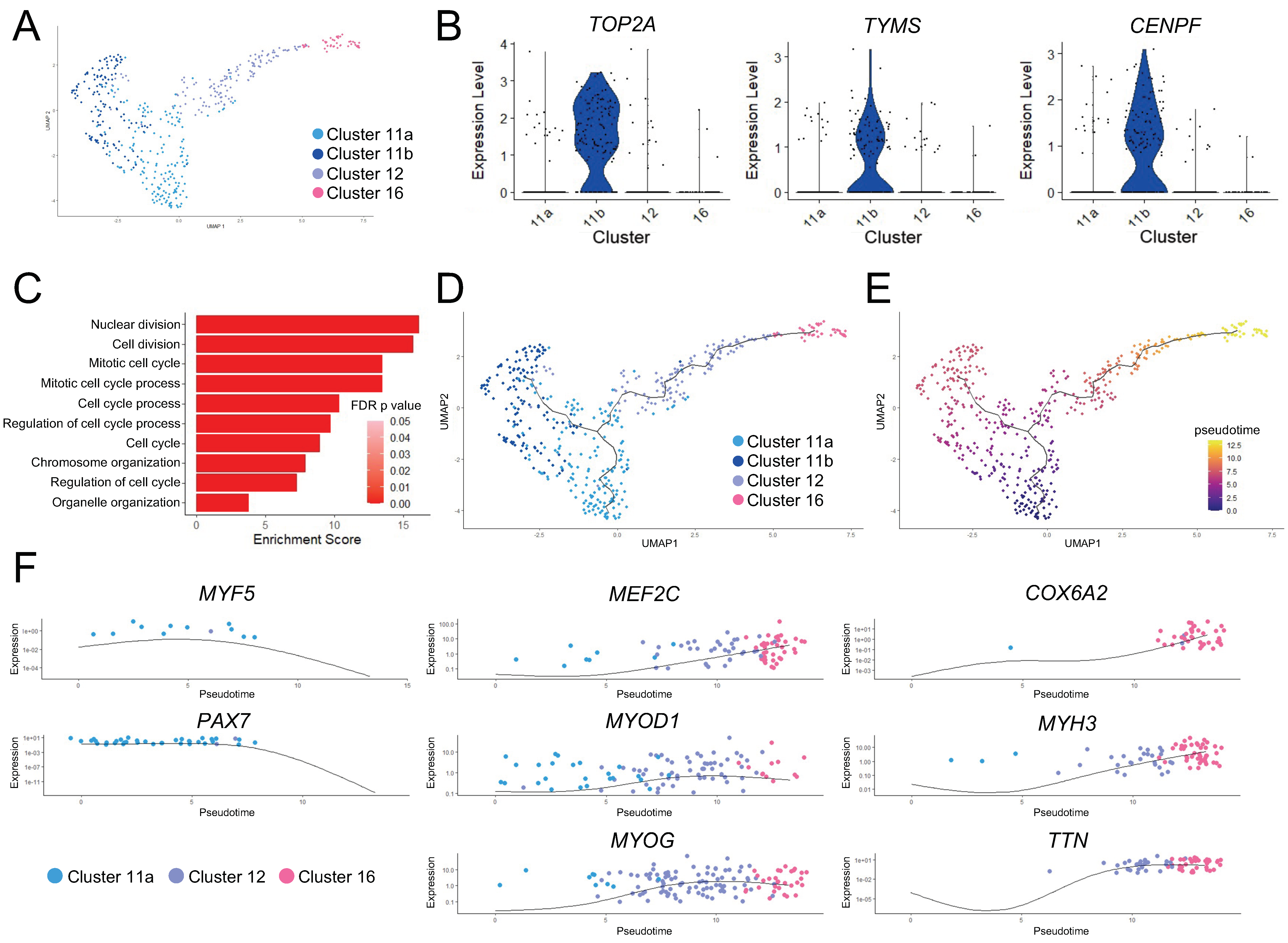 Cells 11 01589 g002 550