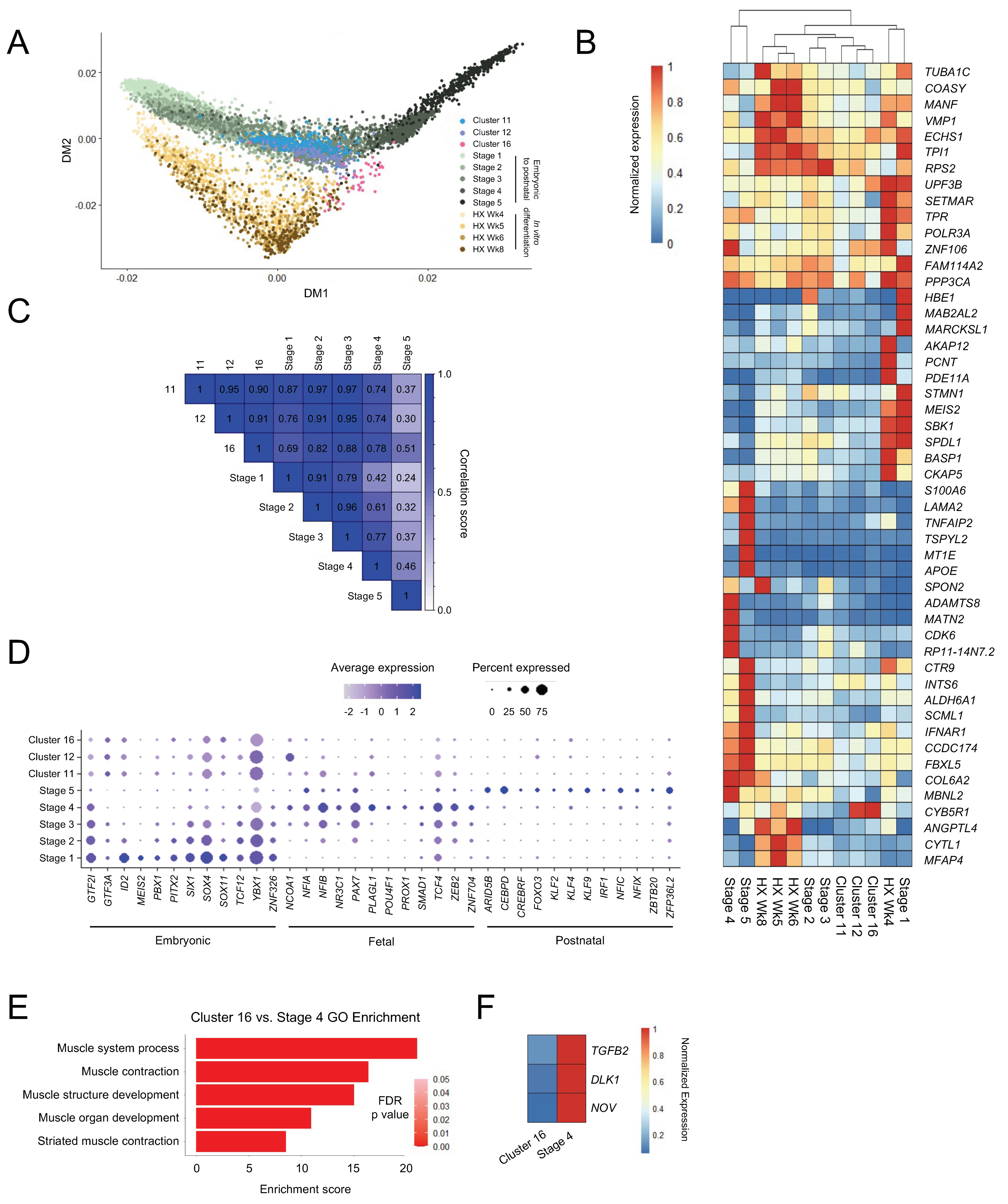 Cells 11 01589 g003 550