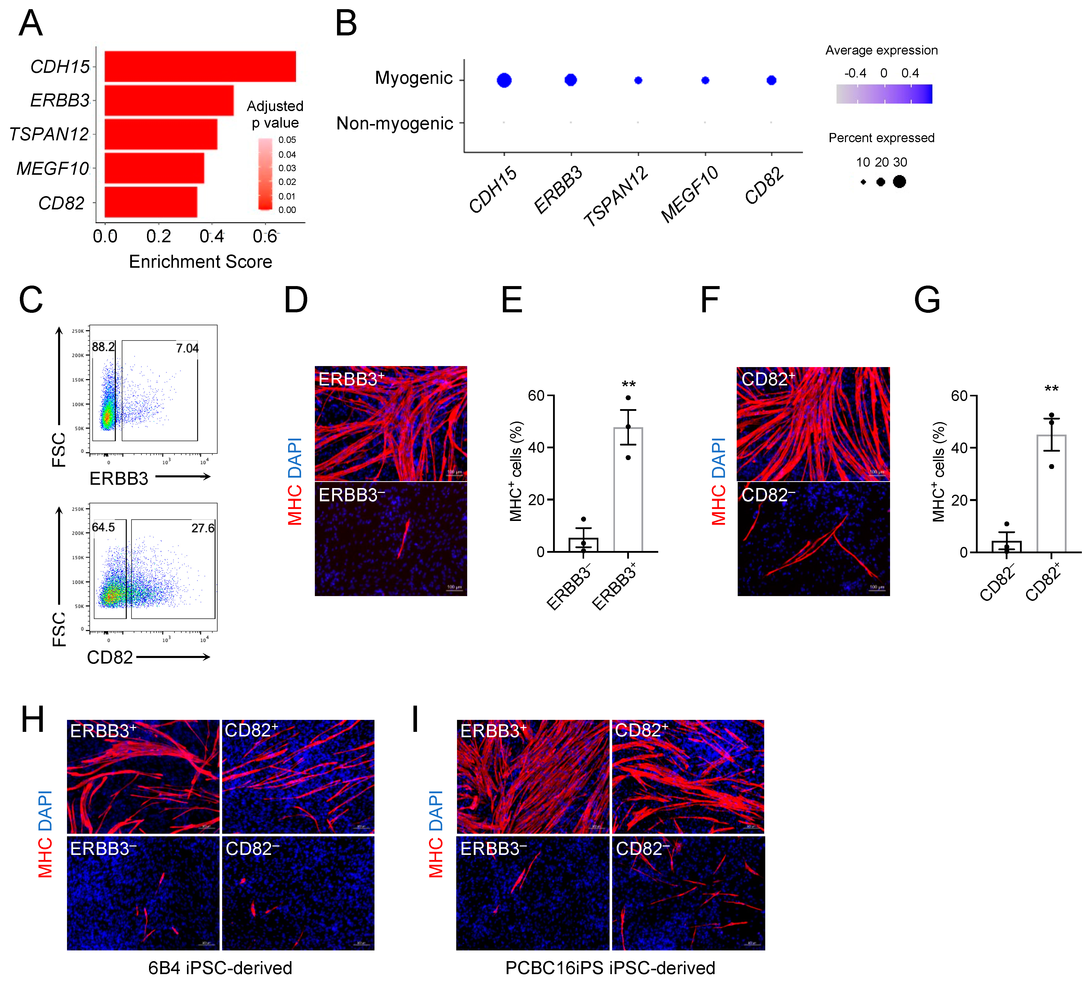 Cells 11 01589 g004 550