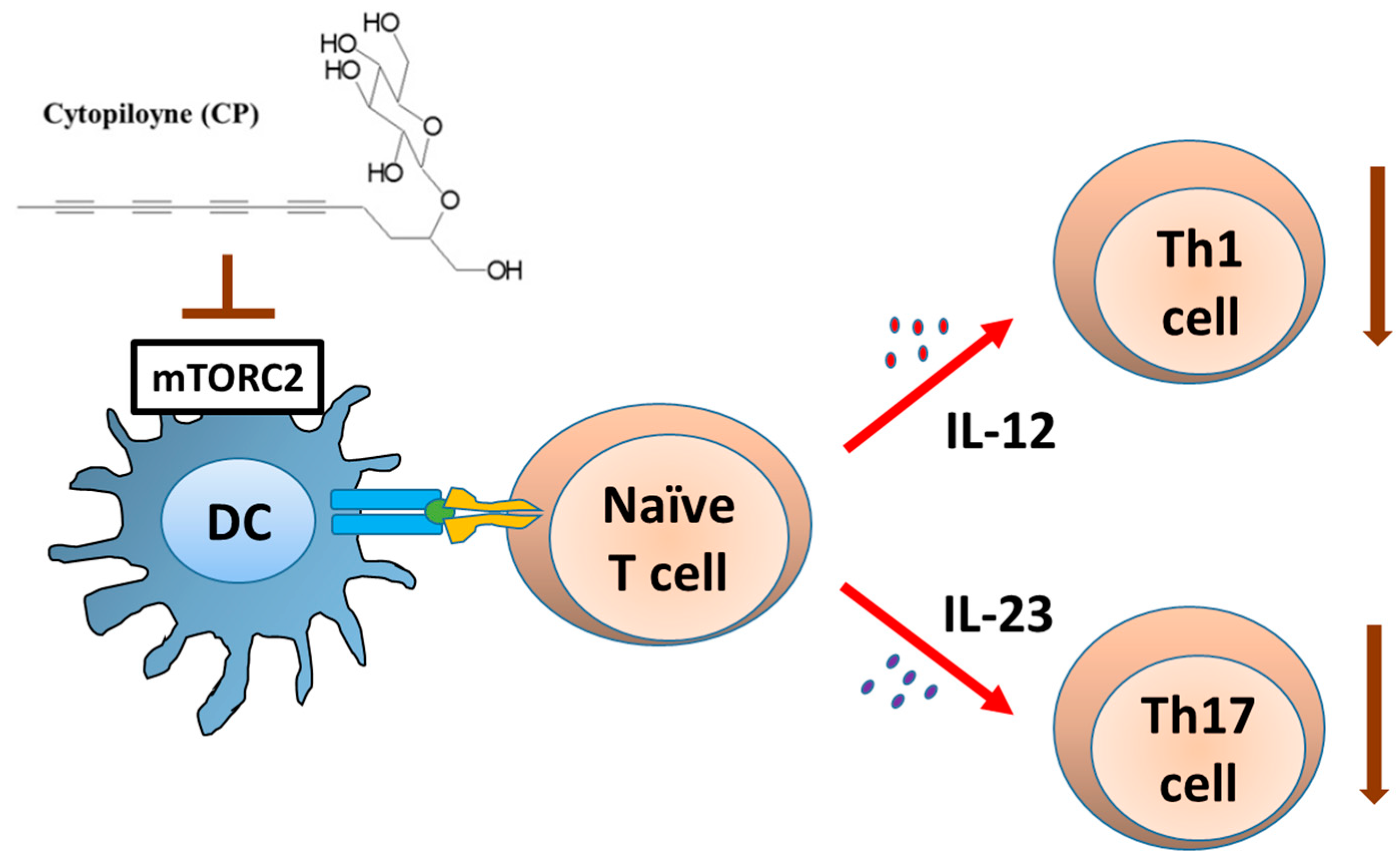 Cells 11 01590 g003 550