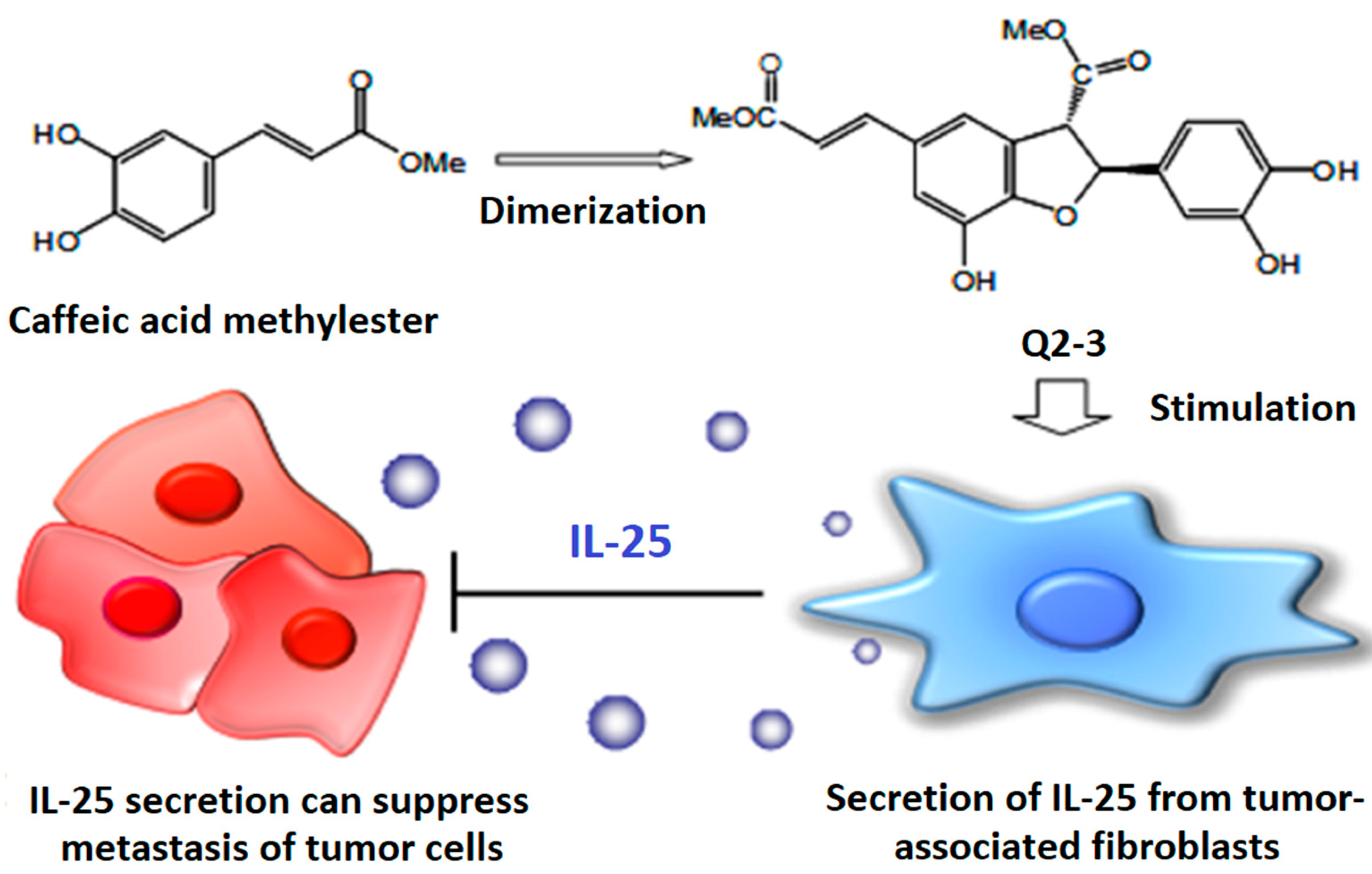 Cells 11 01590 g004 550