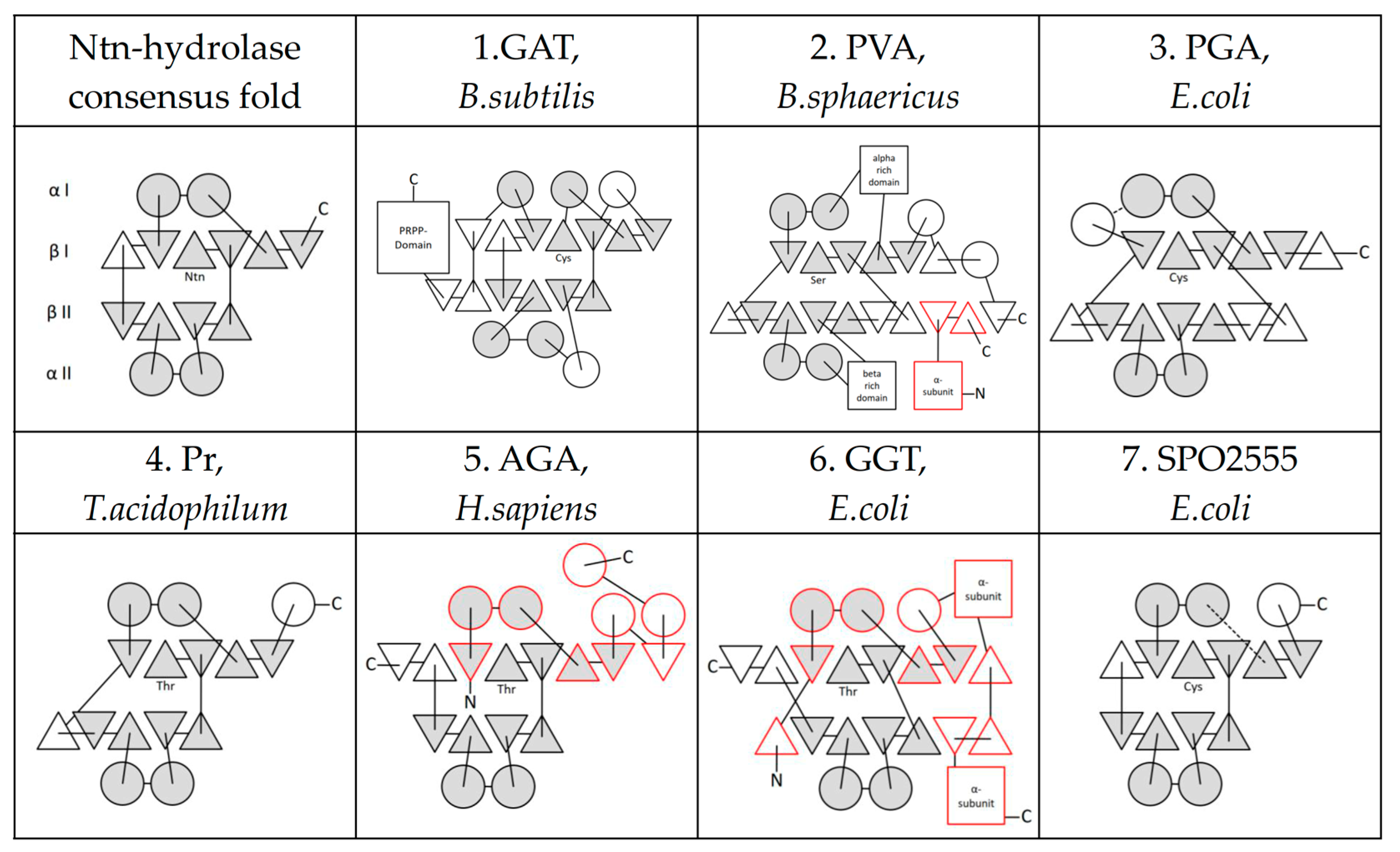 Cells 11 01592 g001 Cells 11 01592 g001