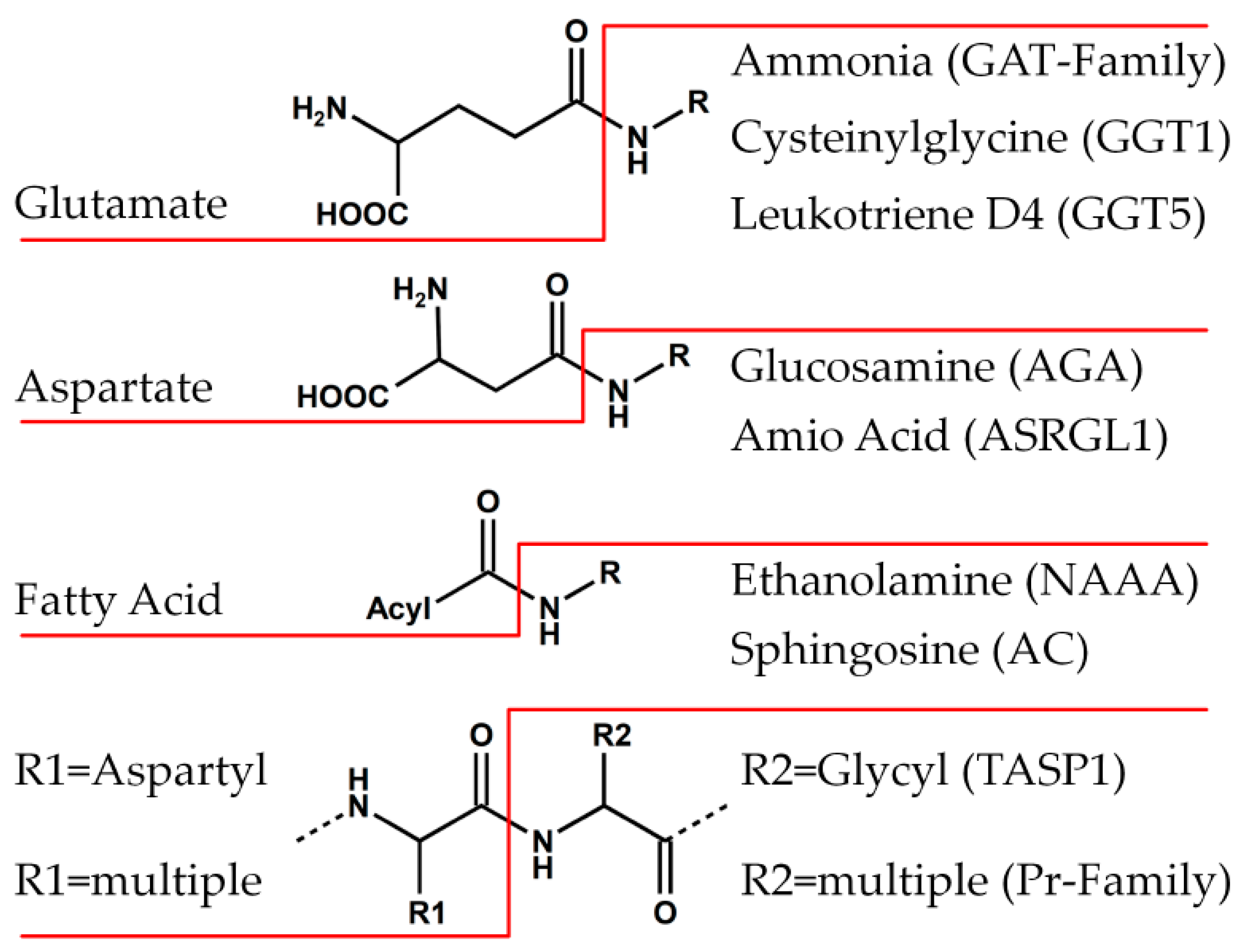 Cells 11 01592 g002 Cells 11 01592 g002