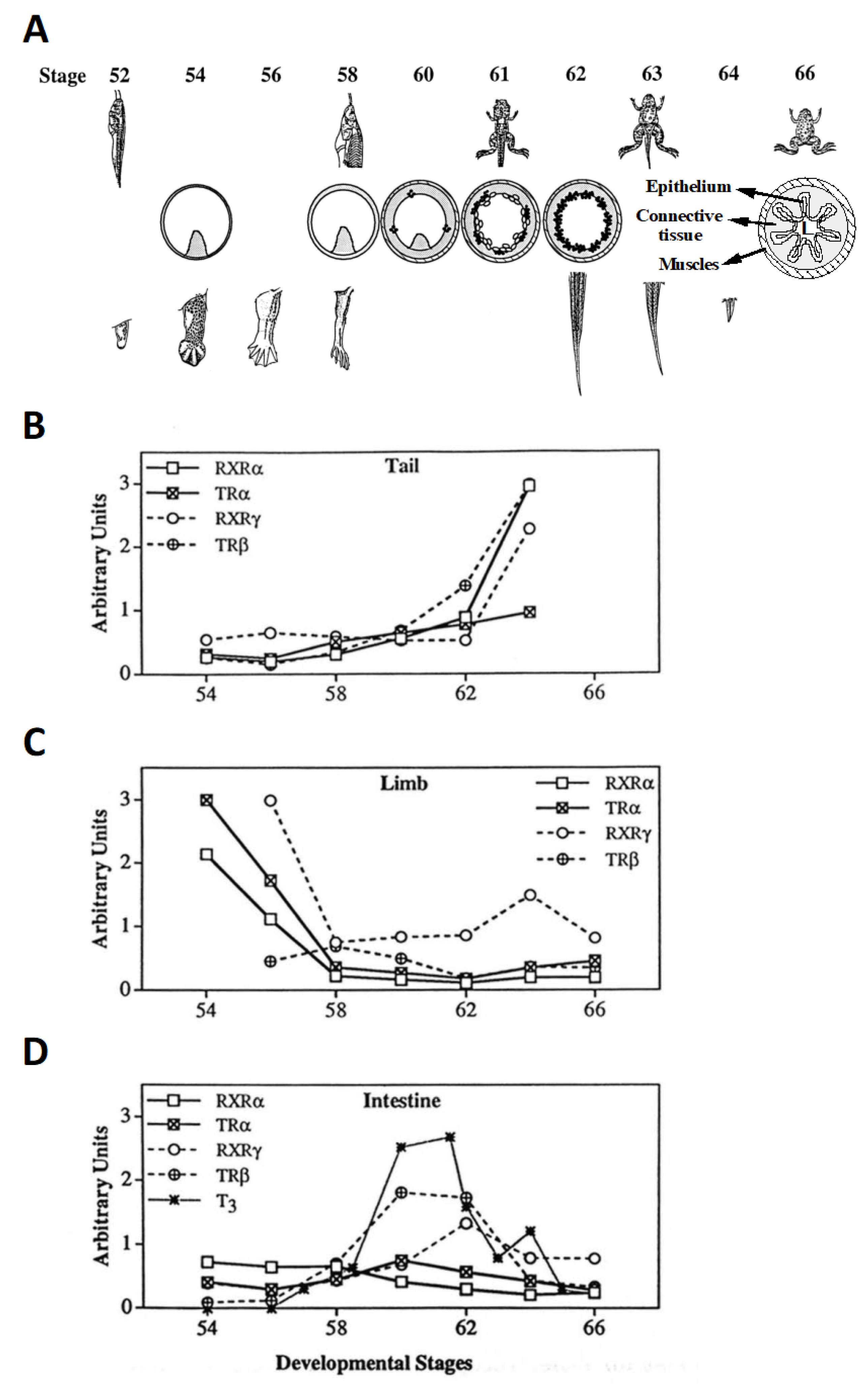 Cells 11 01595 g003 Cells 11 01595 g003