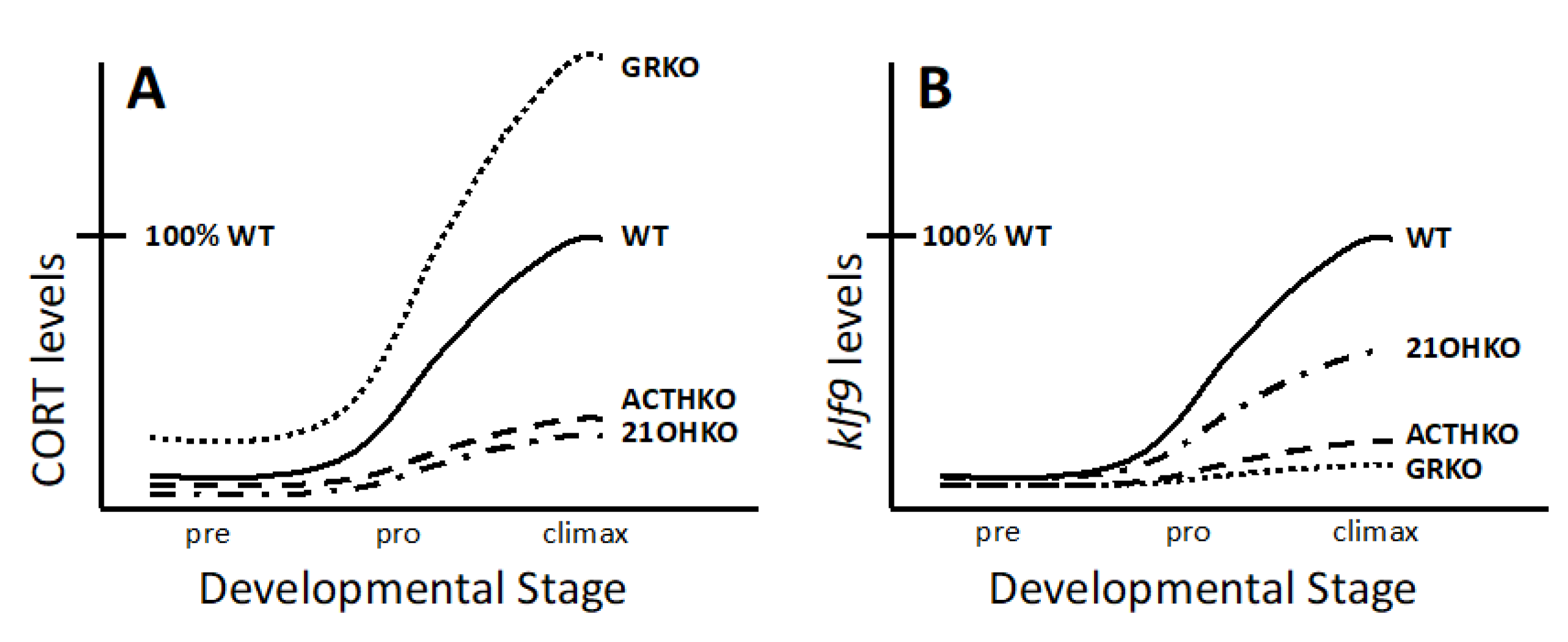 Cells 11 01595 g004 Cells 11 01595 g004